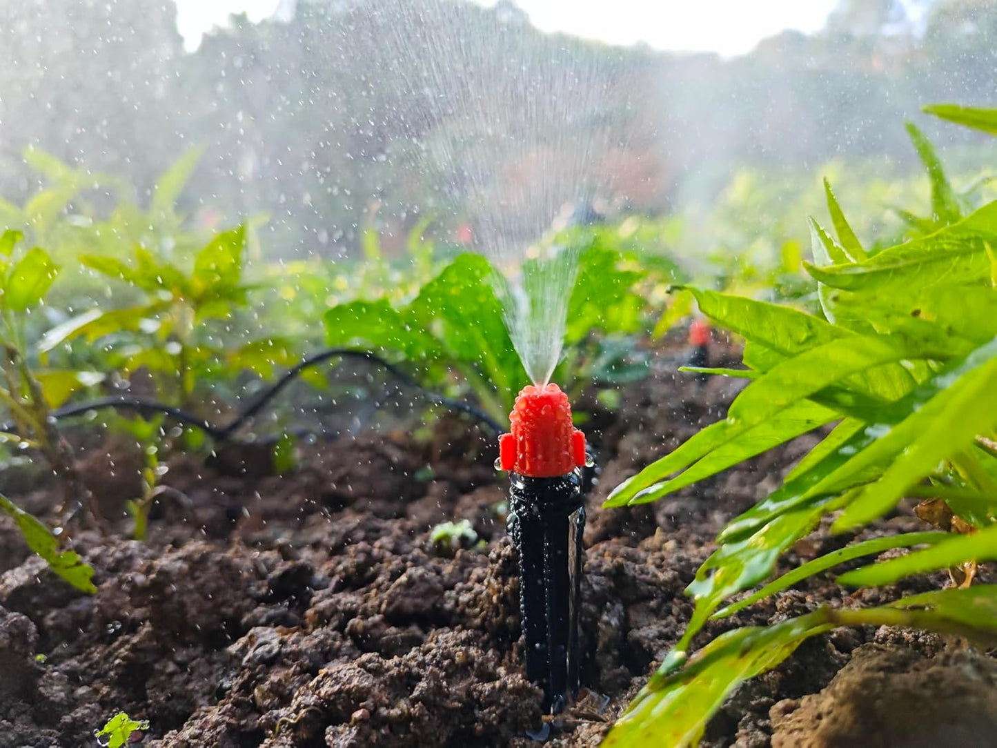 Adjustable Drip Irrigation Spray Emitters: Mist Stream Drip Emitter with Lock Barbed for 1/4 inch Tubing Drip Irrigation Parts for Garden Watering System (30PK)