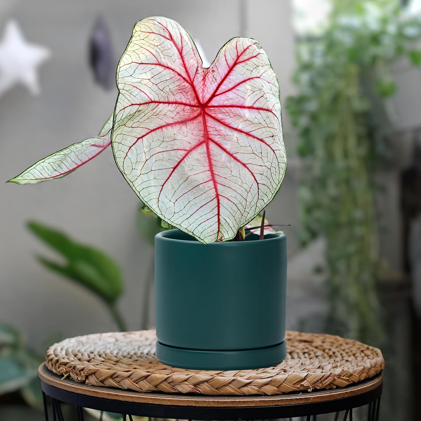 D'vine Dev 4.6 Inch, Ceramic Planter Pot with Drainage Hole and Saucer, Indoor Cylinder Round Planter Pot, Teal, 94-O-B-9