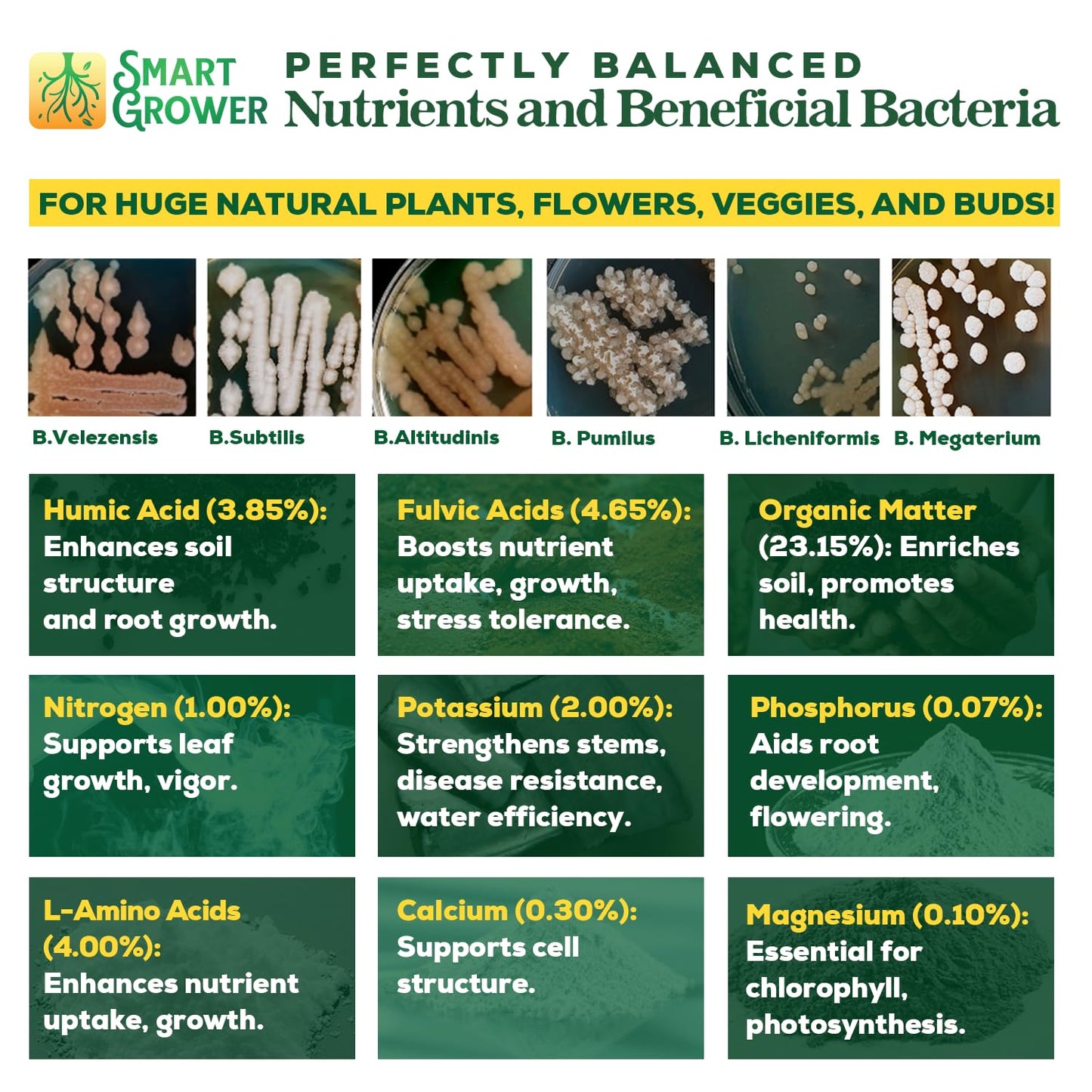 Organic Plant Food with Beneficial Microbes, Fast Acting Vegan Fertilizer for Vegetable Garden, Outdoor & Indoor Plant Fertilizer, Miracle Growth for Plants Concentrated Value 500GR Makes 120 gallons