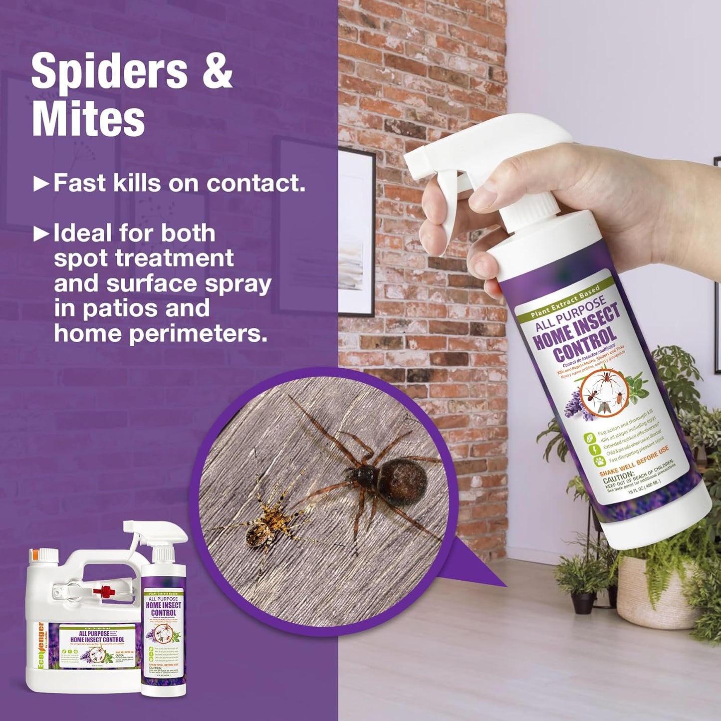 EcoVenger by EcoRaider All Purpose Insect Control 16 oz, Fleas, Fruit Flies, Gnats, Moths, Roaches, Spiders, Fast Kill, Lasting Prevention, Kill Eggs, Plant Extract Based & Non-Toxic, Child & Pet Safe