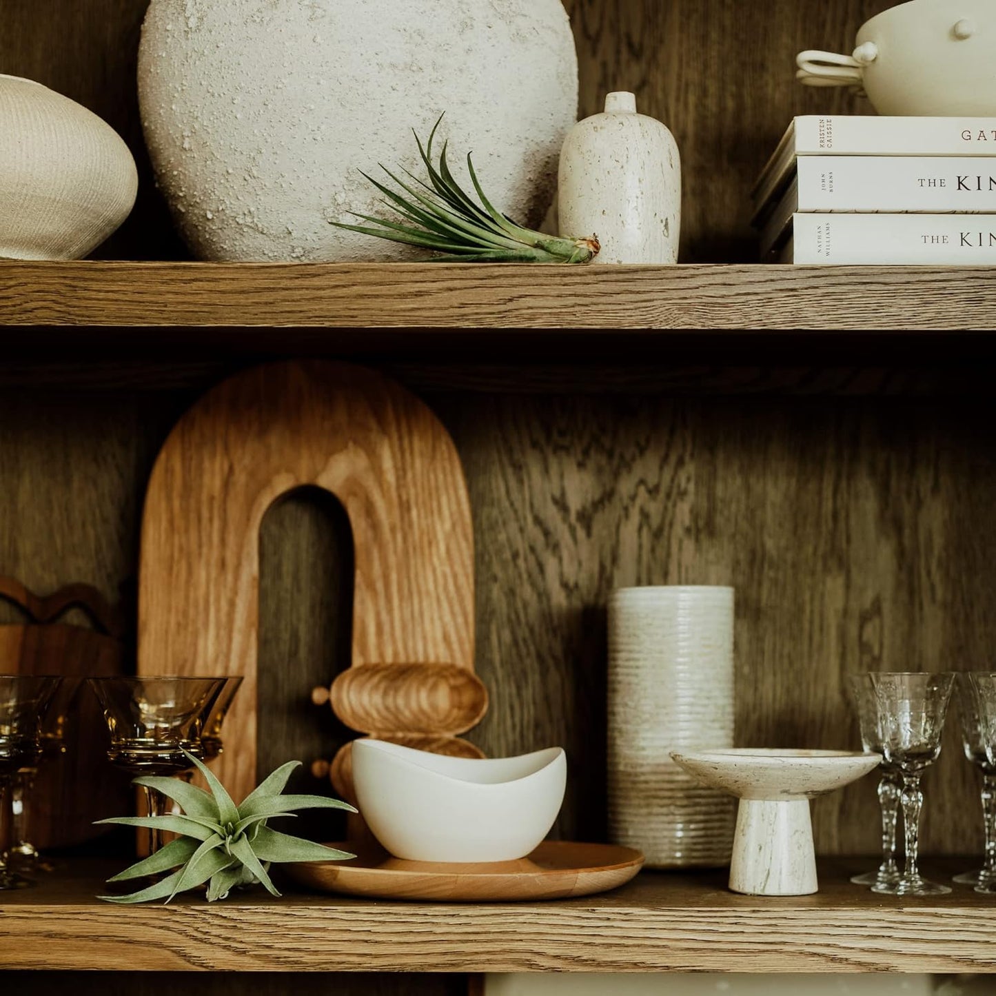 Live Air Plants - Tillandsia Variety, Regular 1-3" - 15ct - Live Arrival Guaranteed, House Plants for Home Decor & Gift