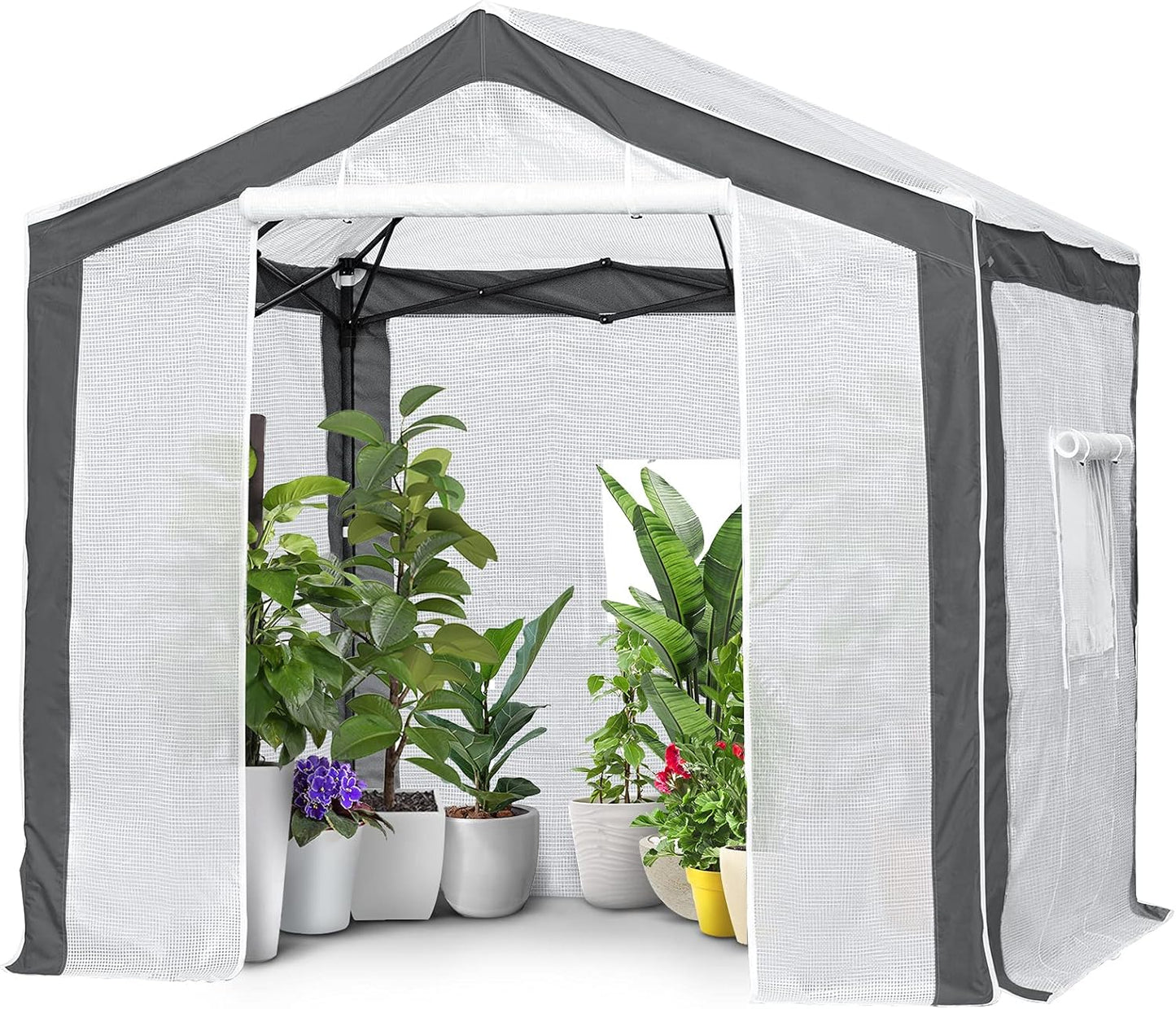 EAGLE PEAK 8x8 Portable Walk in Greenhouse with Polyester Reinforced Corners, Heavy Duty Instant Pop Up Indoor Outdoor Green House, Front Roll Up Zipper Entry Door and Mesh Windows, Gray/White