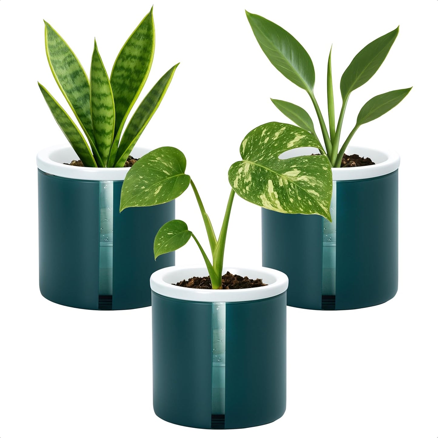 D'vine Dev 4 Inch Design Self Watering Planter for Indoor Plants, White Terracotta Pot with Teal Cylinder Glass Cup, Set of 3,37-Z-A-5-T