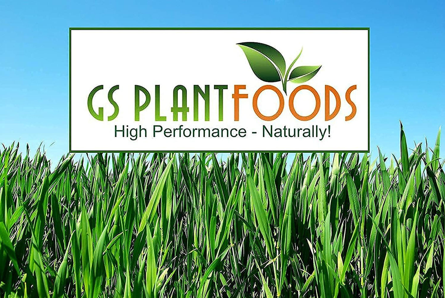 GS Plant Foods Organic Liquid Humic Acid (55 Gallon) - Fertilizer