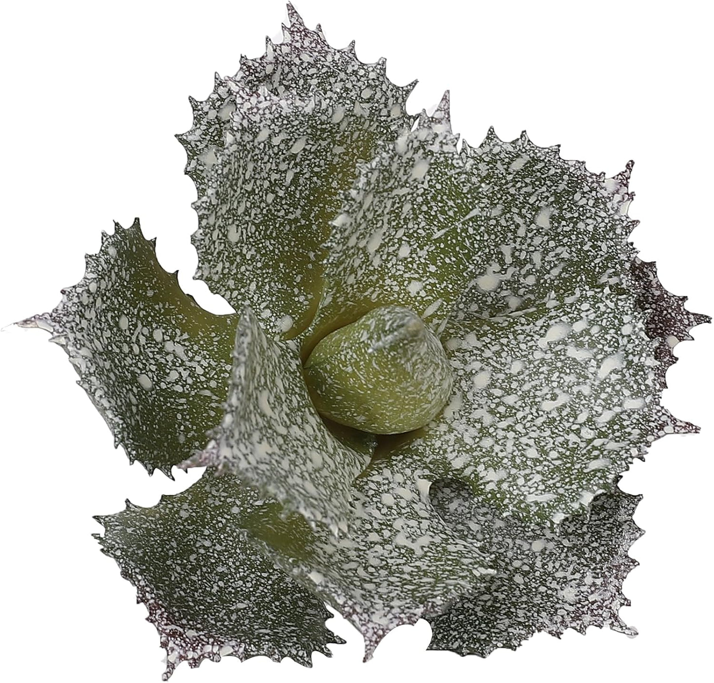 Duovlo Artificial Succulent Plant 5.15 Inch Faux Succulents Agave potatorum Flower Arrangement Craft Wall DIY Materials,Pack of 2 (New Green)