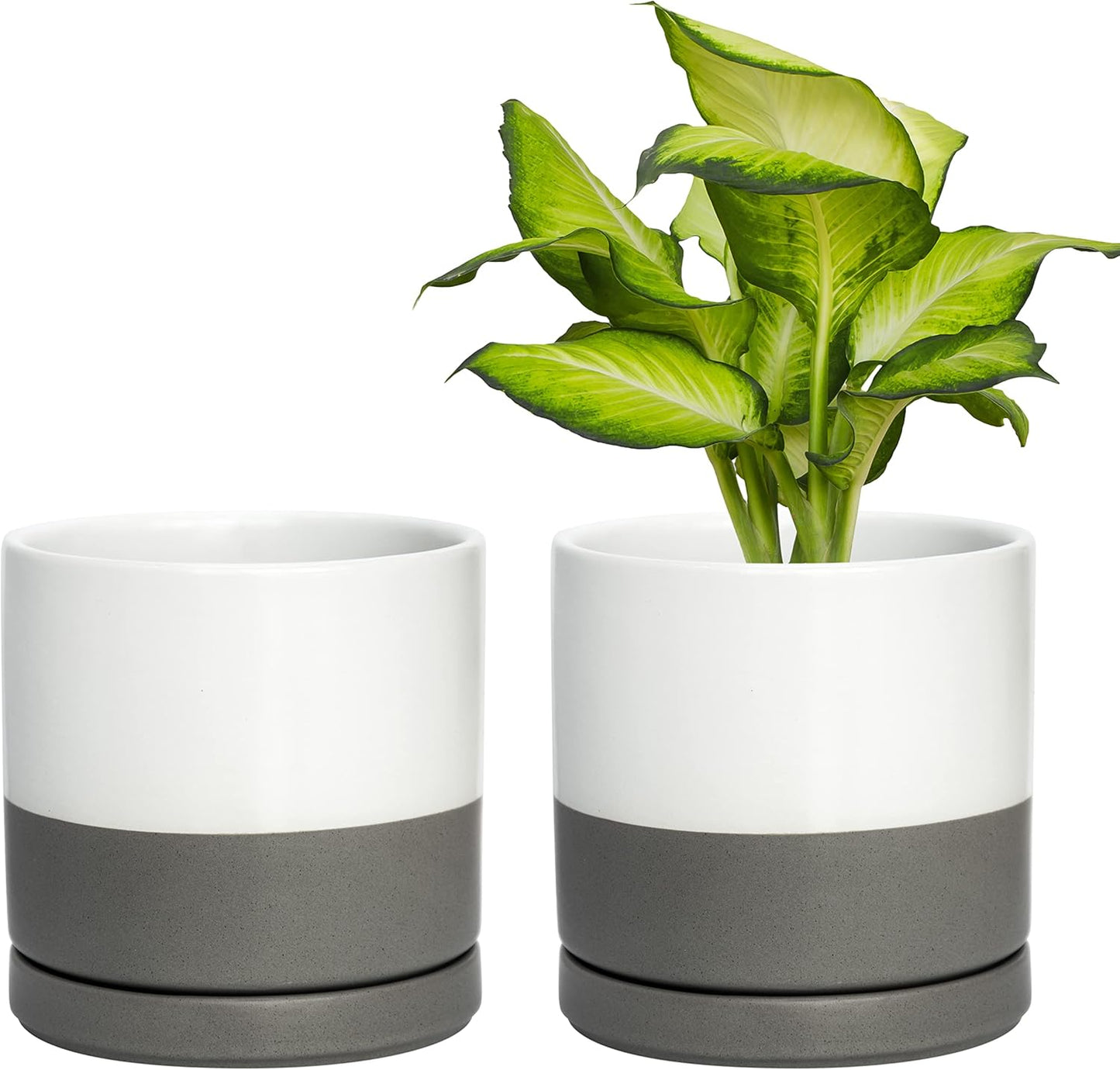 D'vine Dev Set of 2 Plants Pots, 6 Inch Ceramic Planter Pot for Plants with Drainage Hole and Saucer, White/Speckled Grey, 94-V-C-6