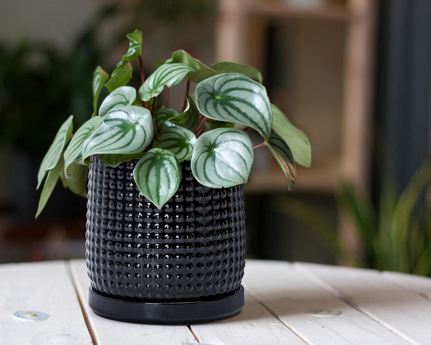 D'vine Dev Set of 2 Ceramic Plants Pots, 6 Inch Beaded Stoneware Flower Pot for Plants with Drainage Hole and Saucer, Glossy Black, 27-E-X-2