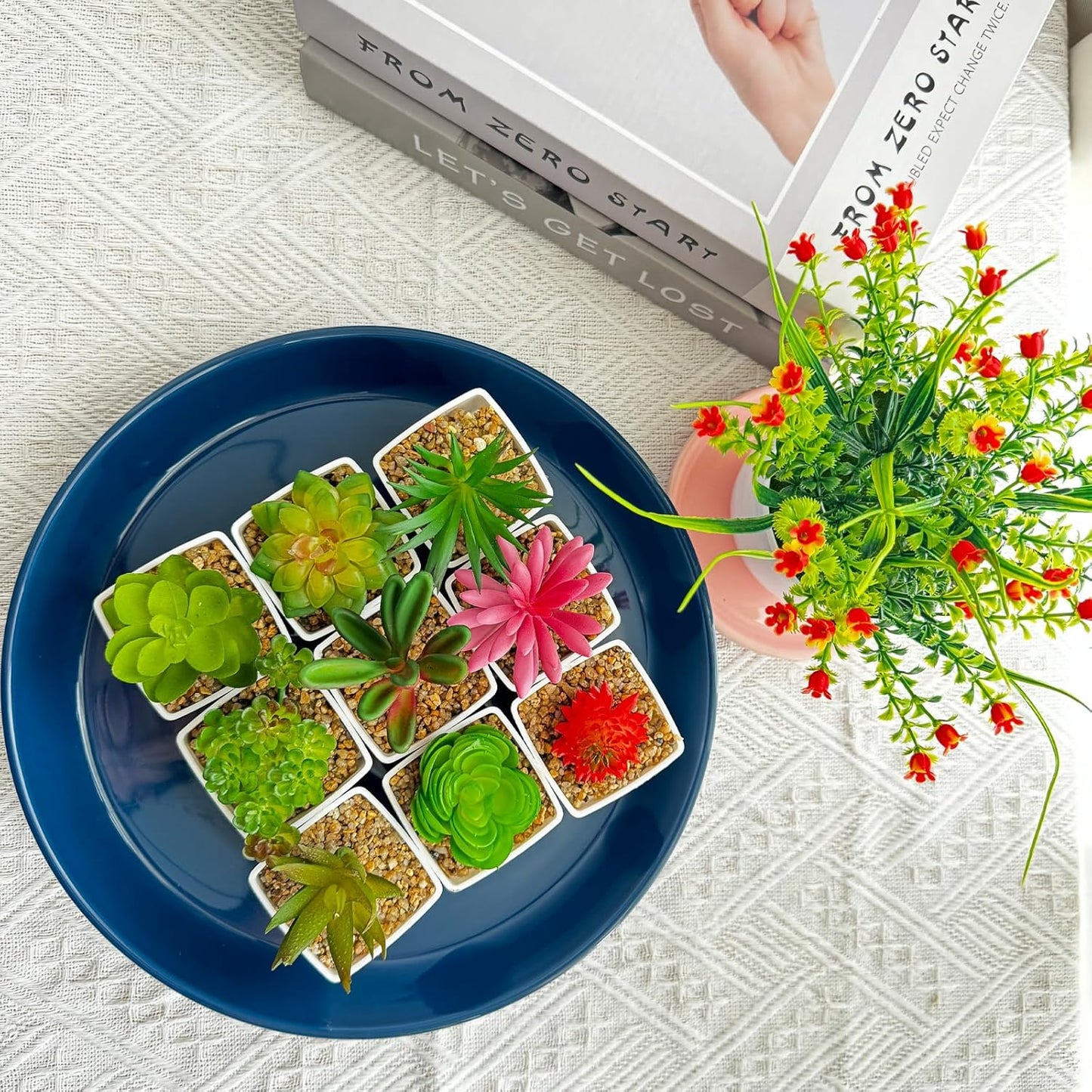 Ceramic Plant Saucers, 10 Inch (11 Inch) Plant Trays, Durable Round Glazed Ceramic Flower Plant Water Drip Tray for Pots Planter, Heavy Duty Plant Dish Plant Plate to Catch Water for Indoor & Outdoor