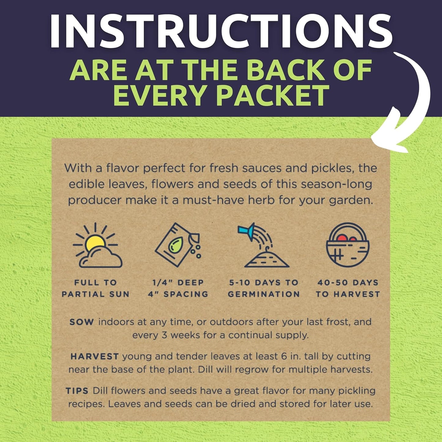 Organic Herb Seeds Variety Pack - 10 Individual Packs - 2025 Season - Basil, Cilantro, Dill, Thyme, Parsley and More! for Indoor & Outdoor Planting (Non-GMO, Certified Organic)