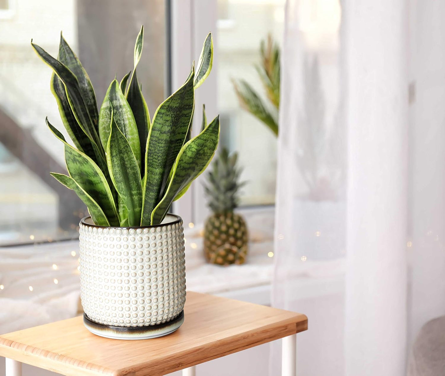 D'vine Dev Set of 2 Ceramic Plants Pots, 6 Inch Beaded Stoneware Flower Pot for Plants with Drainage Hole and Saucer, Smoked White, 27-E-X-1