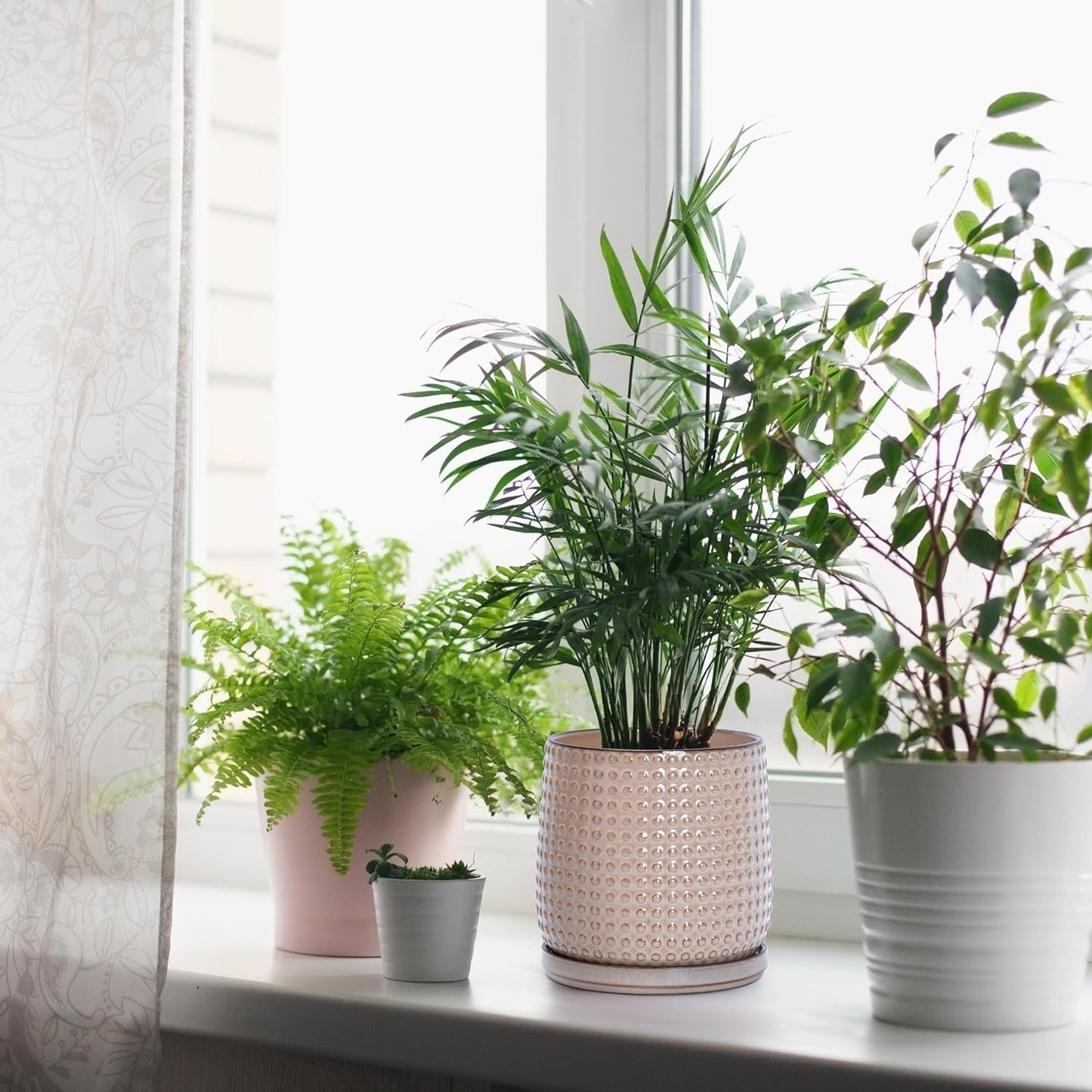 D'vine Dev Set of 2 Ceramic Plants Pots, 6 Inch Beaded Stoneware Flower Pot for Plants with Drainage Hole and Saucer, Light Brown, 27-E-X-4