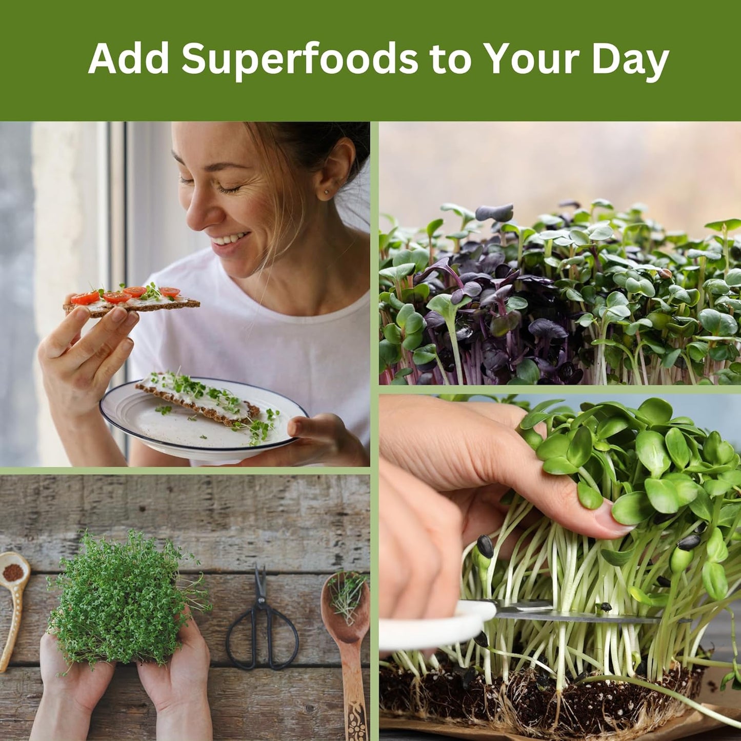 Complete Home Microgreens Kit - Indoor Garden System - Includes 2 Sets of Reusable Trays, Spray Mister, 2 pkgs of Hydroponic Growing Medium, Organic Radish and Broccoli Seeds