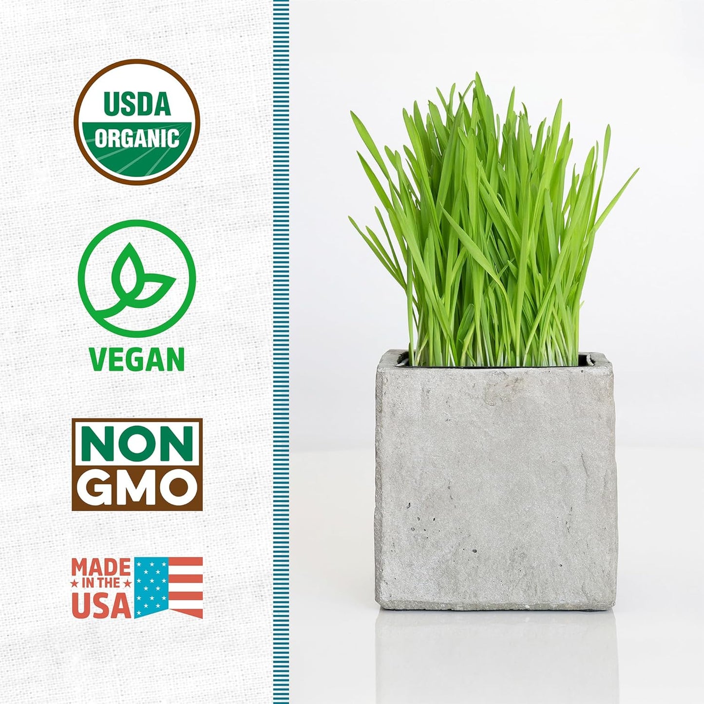 Back to the Roots 100% Organic Wheatgrass Seeds | 1 Pound Non-GMO | Nutrient Dense, Easy to Grow | Cat Grass Planter Seeds