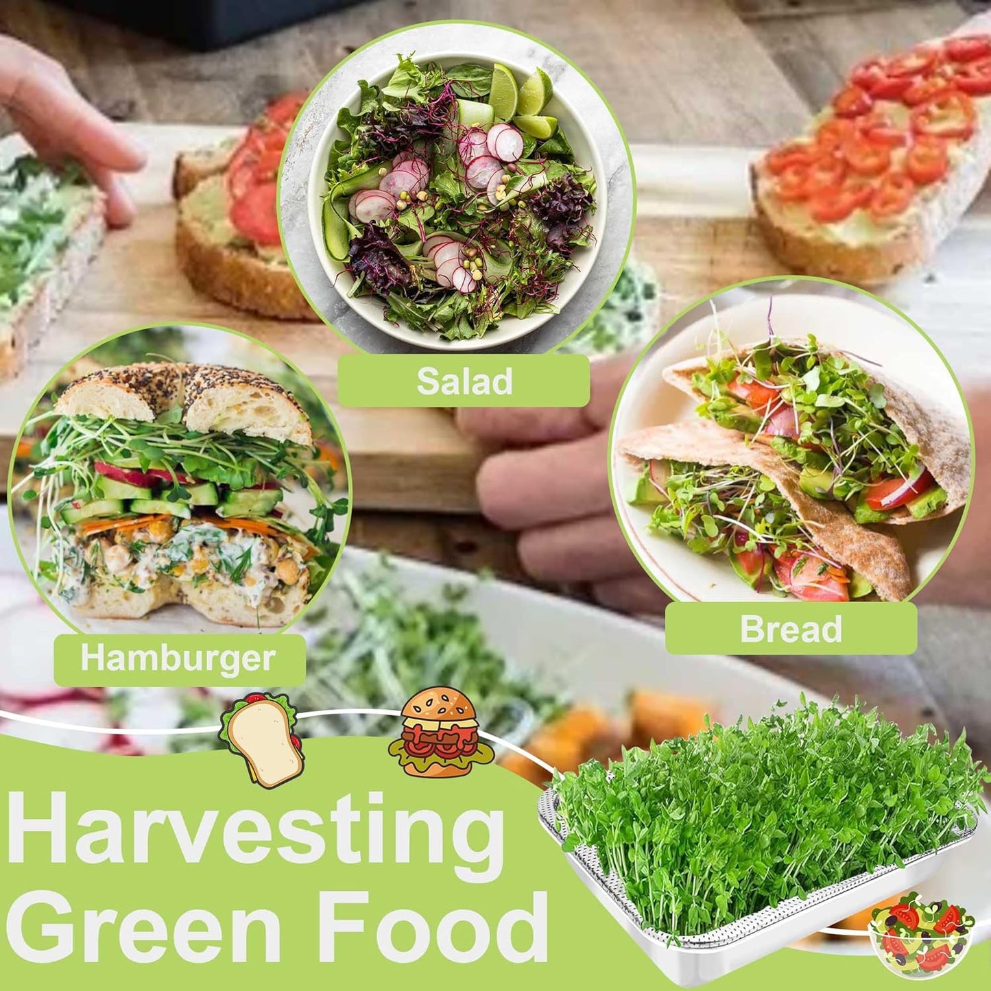 Stainless Steel Sprouts Growing Kit 4-Tier 14 inch Trays, Microgreens Growing Kit, Seed Sprouting Tray with Encrypted Mesh Sprouts for Beans Alfalfa Broccoli Wheat Grass