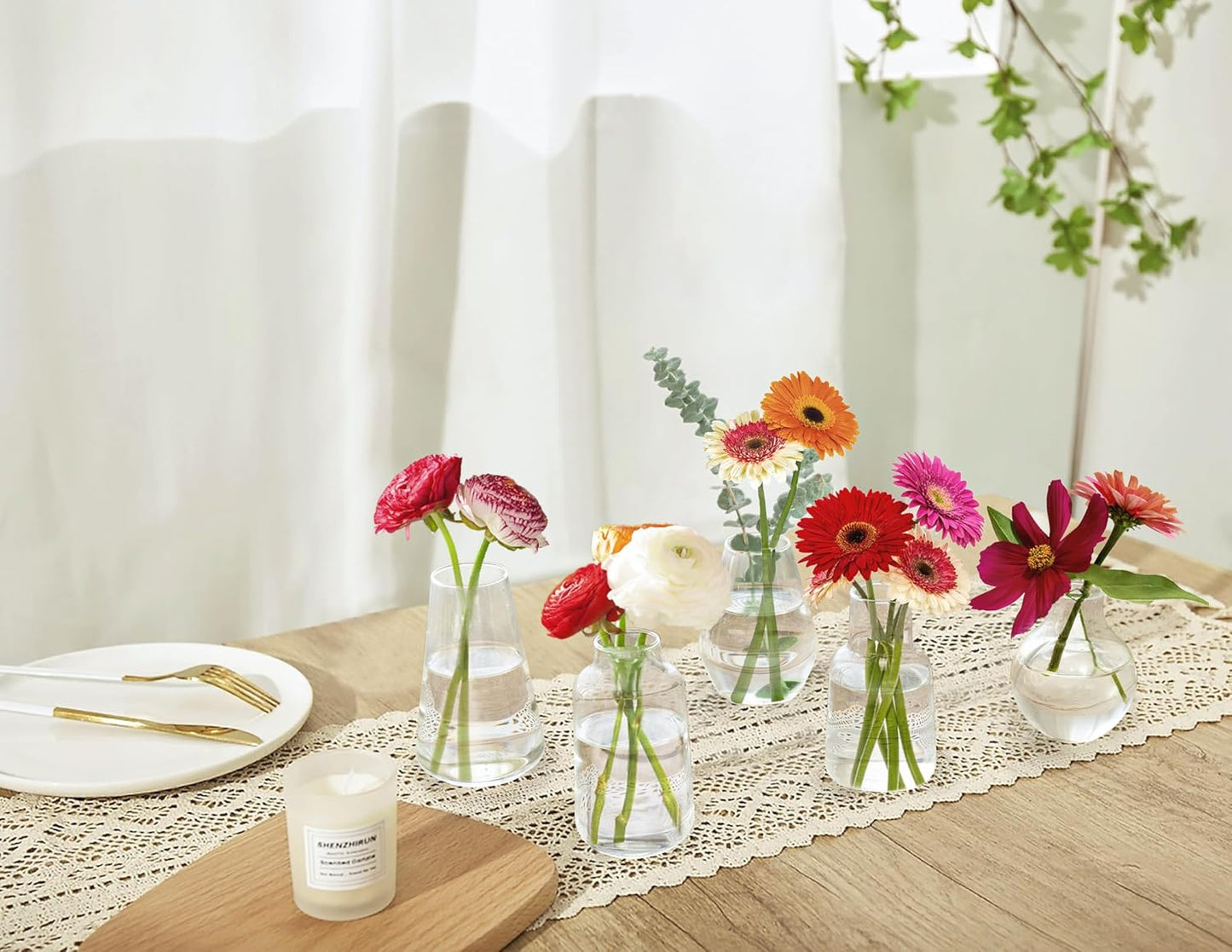 Mkono Propagation Vases for Plants, Set of 5 Small Glass Jar Planters for Hydroponic Cutting Flowers, Plant Station Bud Vases for Centerpieces Home Office Decor Gift