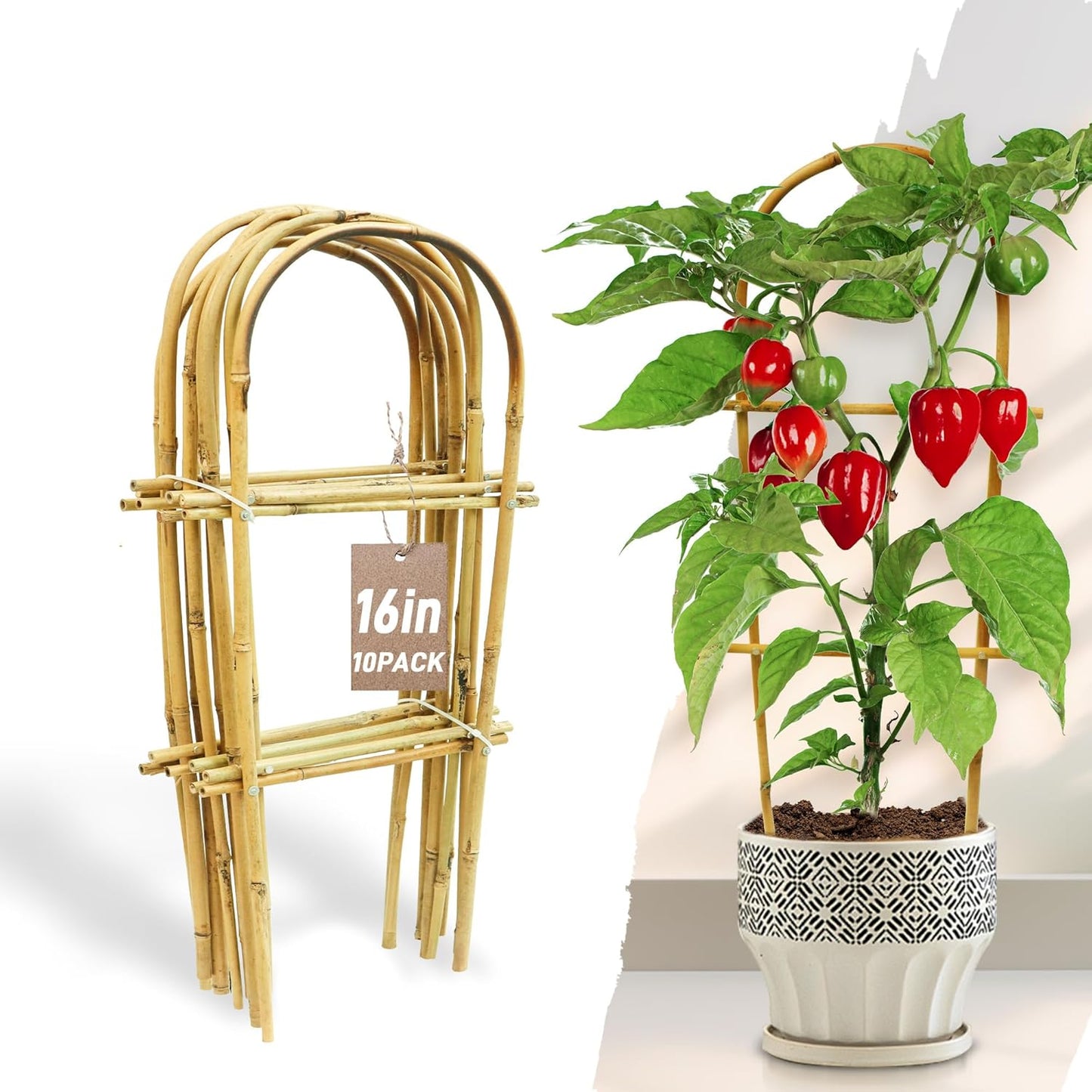 Avalution 10 Pack Bamboo U Trellis for Climbing Plants, 16 Inch Garden Ladder Trellis for Potted Plants Indoor, Ladder Small Plant Support Trellis for Houseplants Ivy Hoya Vine Monstera