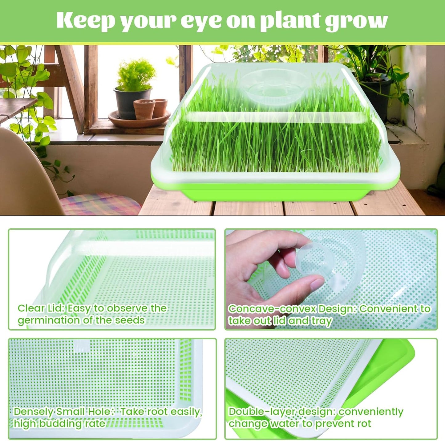 Legigo 5 Pack Seed Sprouter Trays with Lids- Soil-Free Cultivation Germination Tray, BPA Free Micro Greens Growing Trays Seed Sprouting Trays Kit with Germinating Paper for Wheatgrass, Beans and More