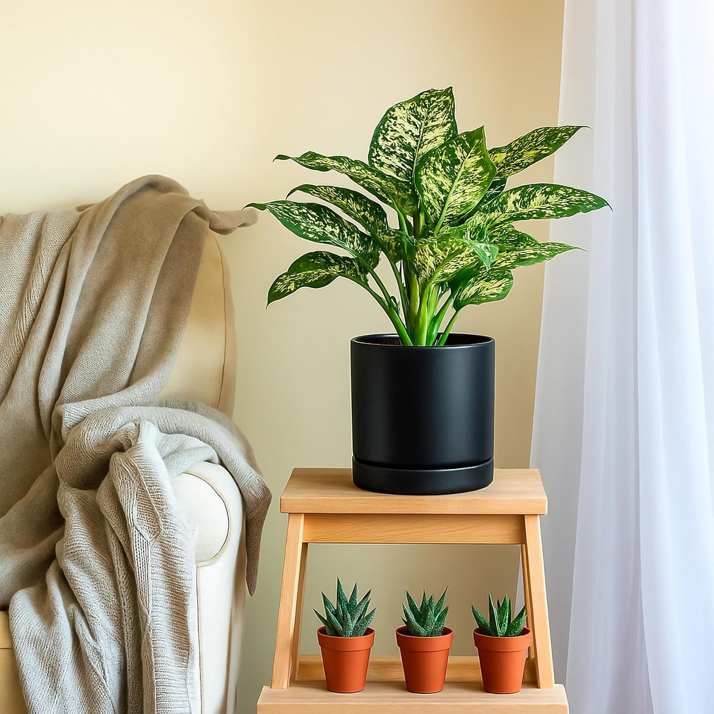 D'vine Dev 8 Inch Ceramic Planter Pot with Drainage Hole and Saucer, Indoor Cylinder Round Planter Pot, Black, 94-O-D-2