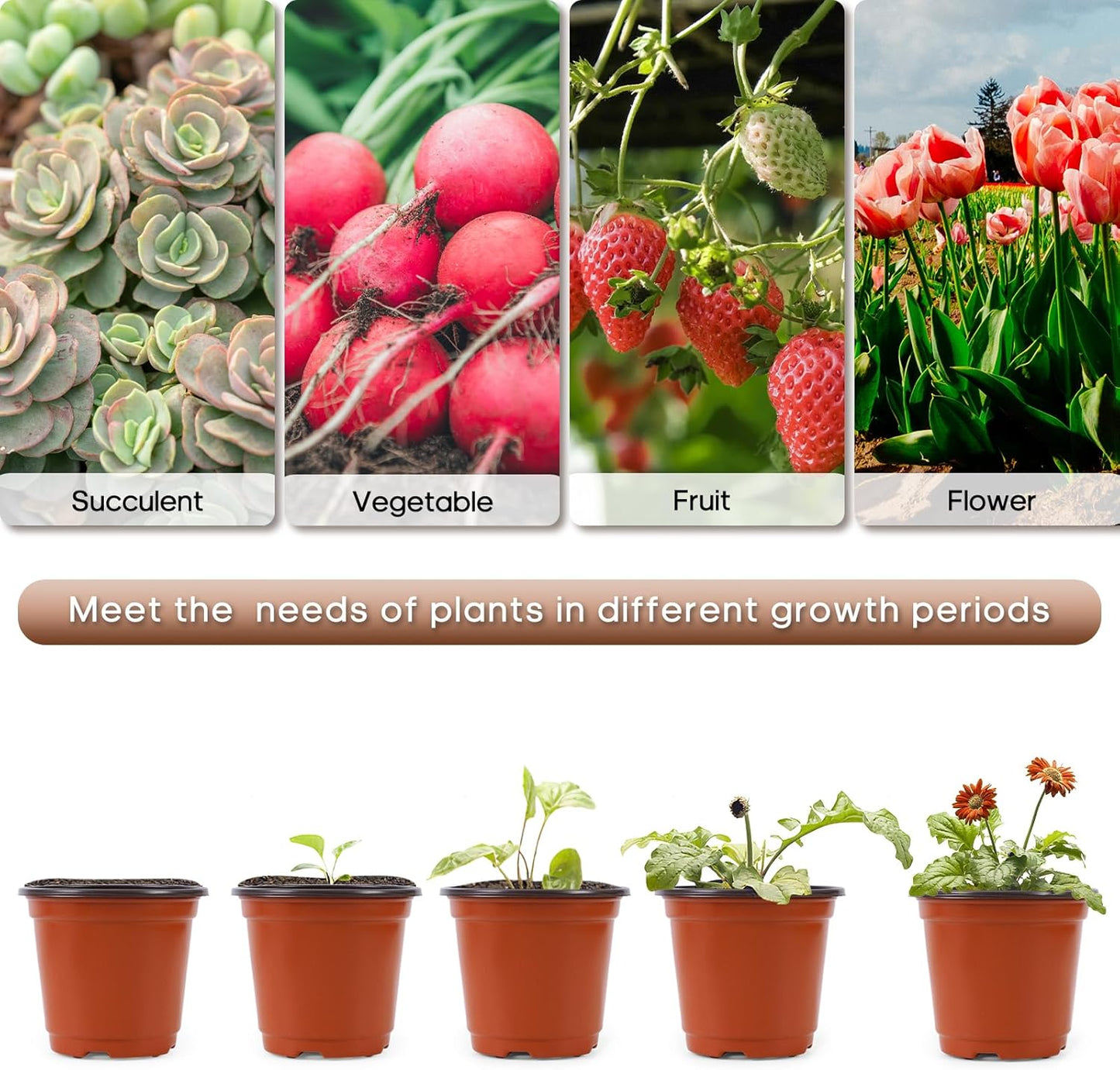 200 Pack 6 Inch Plastic Nursery Pots for Plants, Seedling Pots Succulent Pots Flower Pots with Drainage Holes, Come with 200pcs Plant Labels