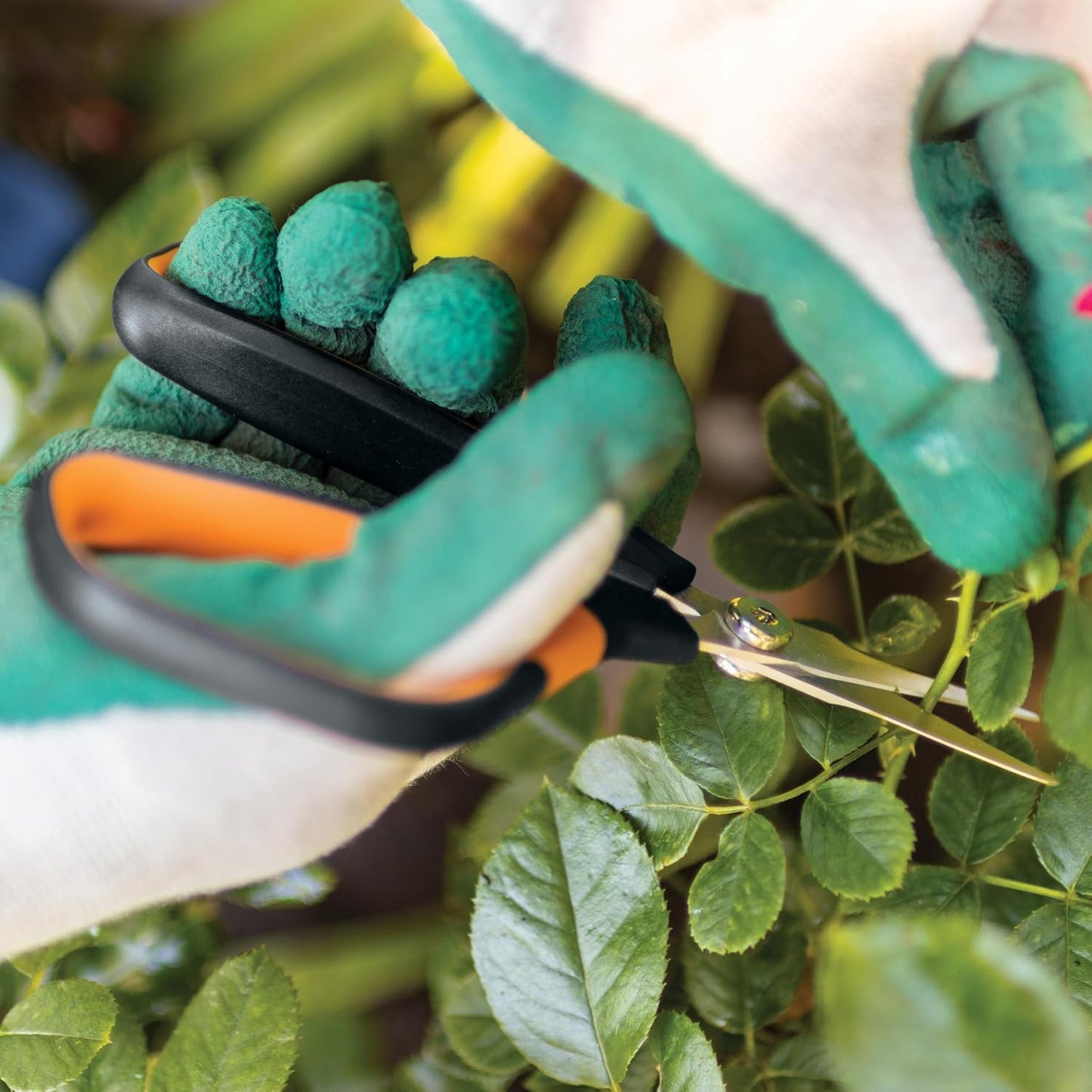 Fiskars Comfort Loop Micro-Tip Pruning Snips - 7" Garden Shears with Sheath and Extra Large SoftGrip Handle - Yard and Garden Tools - Orange/Black