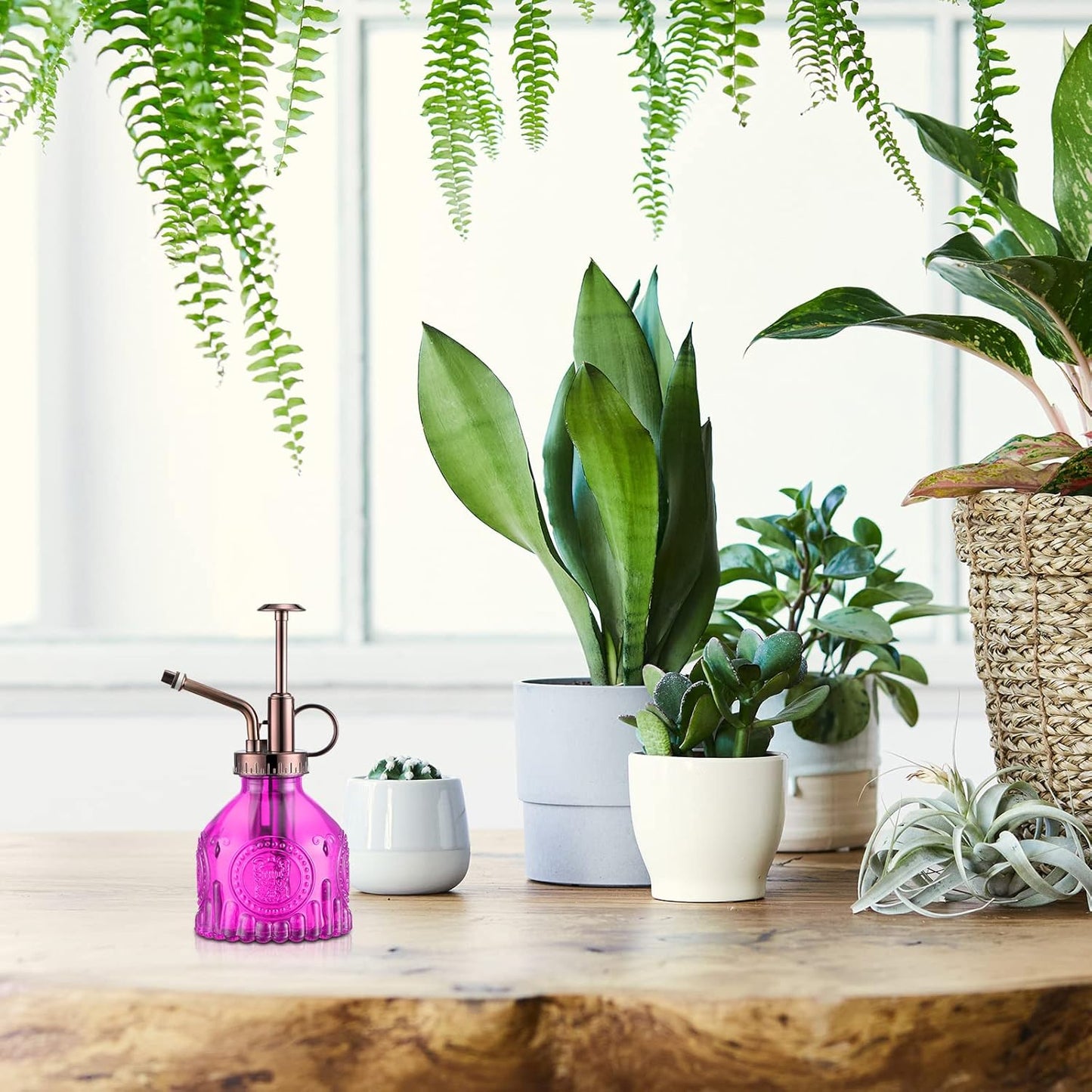 8 Pcs Glass Plant Mister Spray Bottle 200ml Vintage Plant Spritzer Multicolor Succulent Watering Bottle Watering Can 6.4'' with Plastic Top Pumps for Indoor Outdoor Succulents Garden Plants (Bronze)