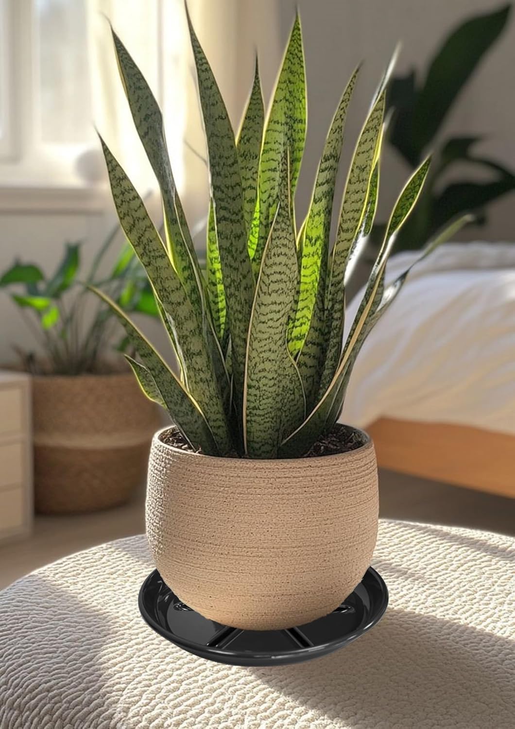 6 Pack of Plant Saucer 8 inch, Plastic Trays for Plants, Plant Drip Trays for Indoors Outdoor, Plant Water Tray for Planters, Black