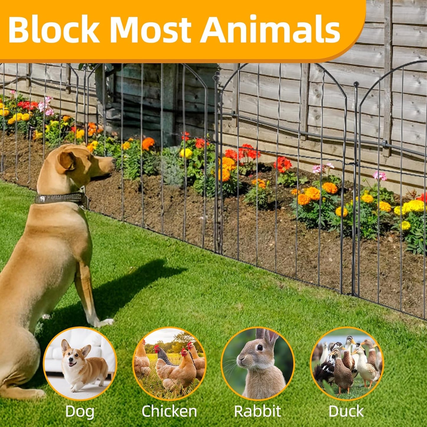 No Dig Garden Fence 16in x 20ft 20 Panels Decorative Garden Border for Fencing for Flower Beds, Dog Barrier, Patio and Yard Decoration