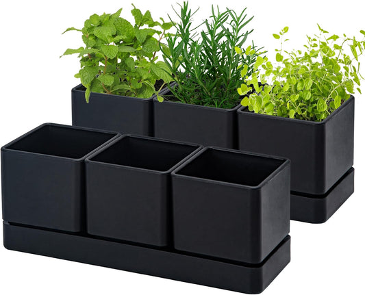 D'vine Dev Herb Garden Planter Set, Plastic Plant Pots with Drainage and Saucer, Indoor Succulent Cactus Vegetable Pot for Windowsill, Garden Balcony, Black, Set of 2, 76-V-B-2