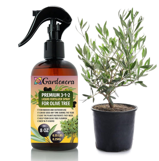Professional Olive Tree Spray Fertilizer Mist for Home Gardening | 3-1-2 Gentle Blend Mist for Healthy Leaves & Growth | Essential Nutrients for Olive Trees - 8oz
