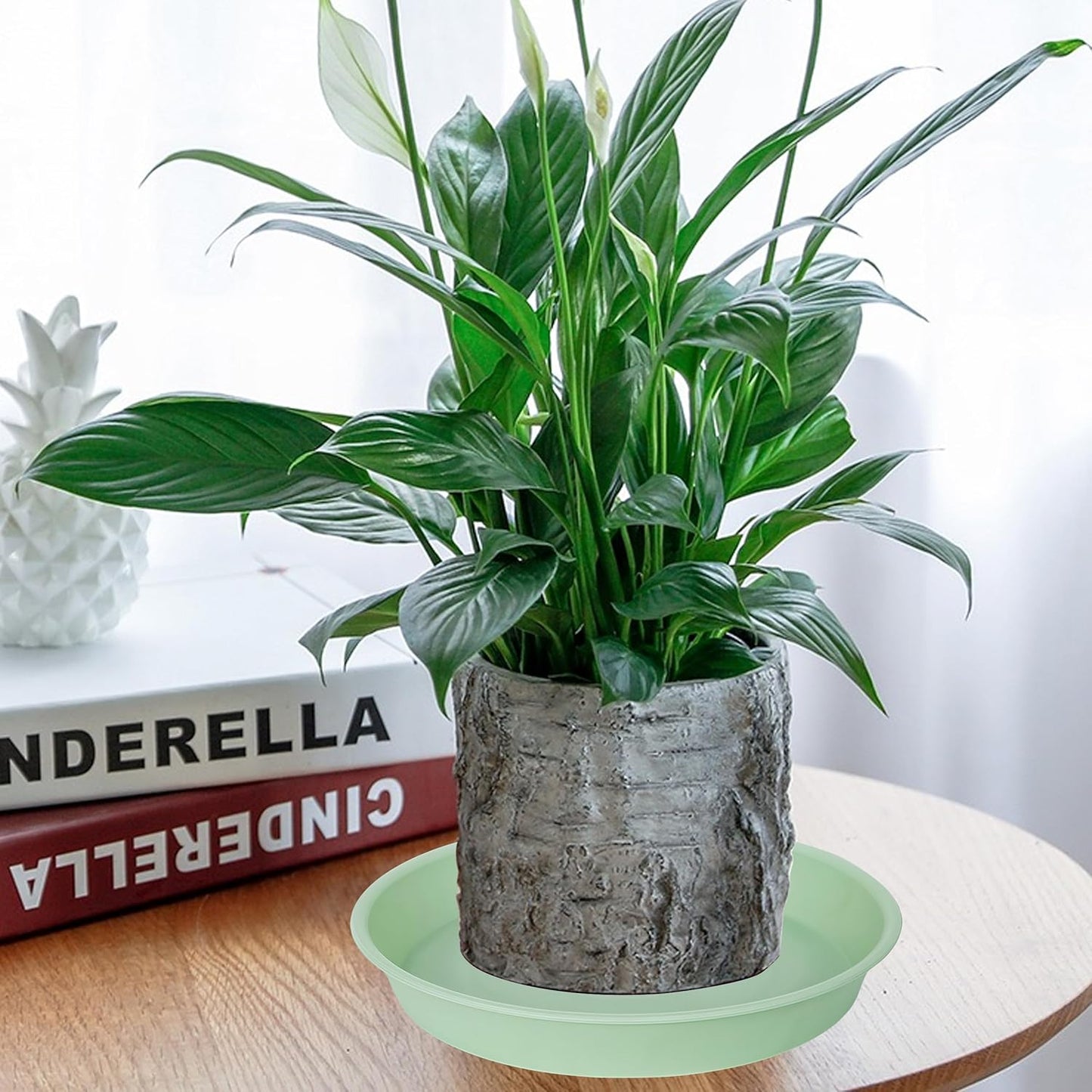 6 Pack of 8 inch Plant Saucer Blue, Plastic Plant Water Tray 8 inch Round, Flower Plant Saucers for Indoors, Dlant Dishes Saucer for Planter 7"/8" (8", Light Green)