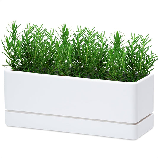 D'vine Dev 12 Inch Window Box Planter, Rectangle Plastic Herb Planter with Drainage Holes and Saucer, Indoor Succulent Cactus Vegetable Pot for Windowsill, Garden Balcony, White, Set of 1, 76-X-A-1