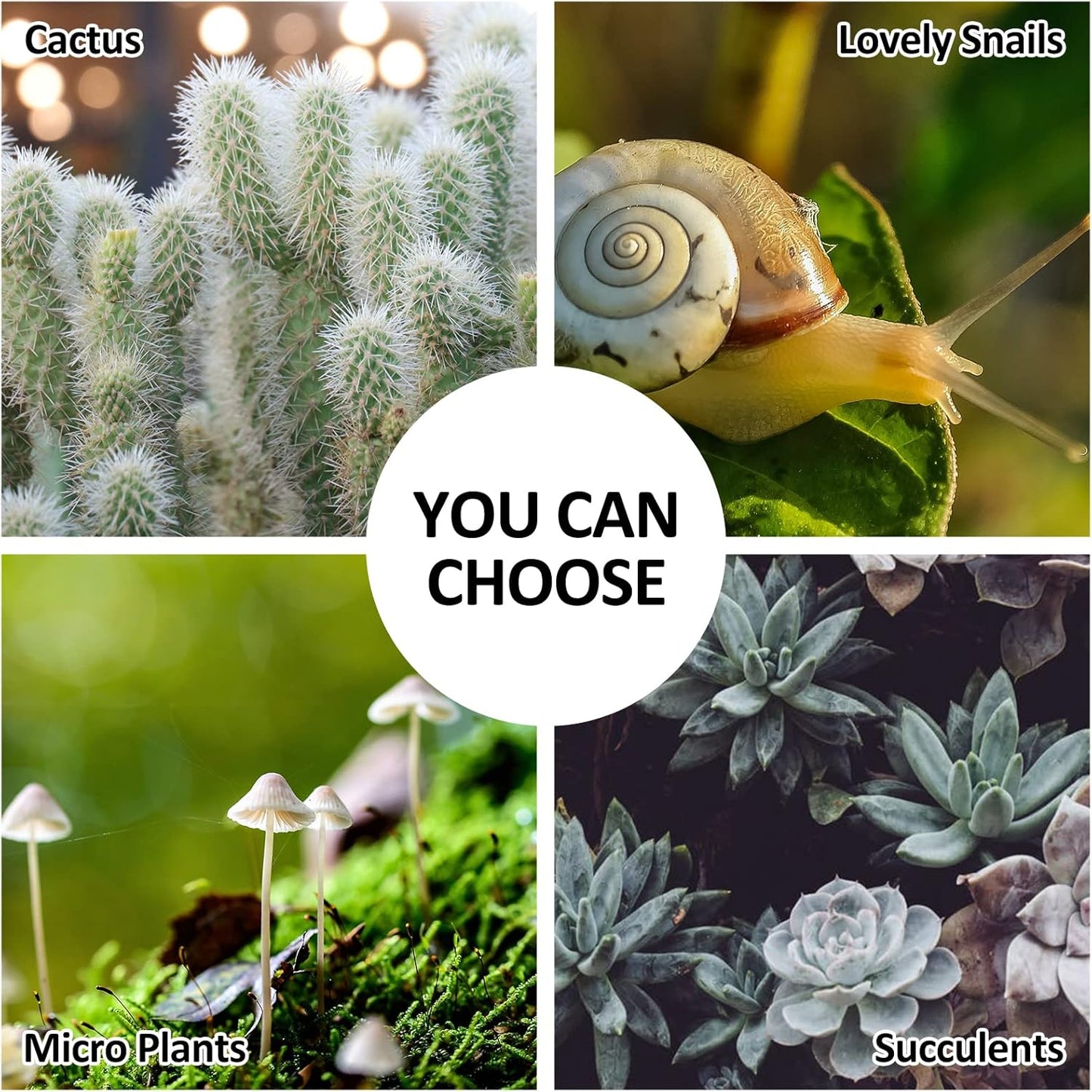 HighFree Geometric Terrarium Planter with Swing Lid, House Shape Black Handmade Glass Box, Vintage Tabletop Miniature Terrarium, for Succulent, Cacti, Air Plants (Not Watertight - 9.2x5.5x7.3 inch)