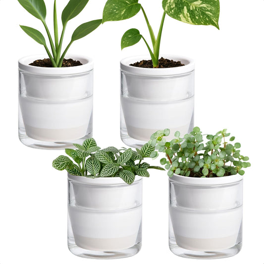 D'vine Dev 4 Inch Design Self Watering Planter for Indoor Plants, White Terracotta Pots with Cylinder Glass Cup, Set of 4, 37-Z-A-2-F