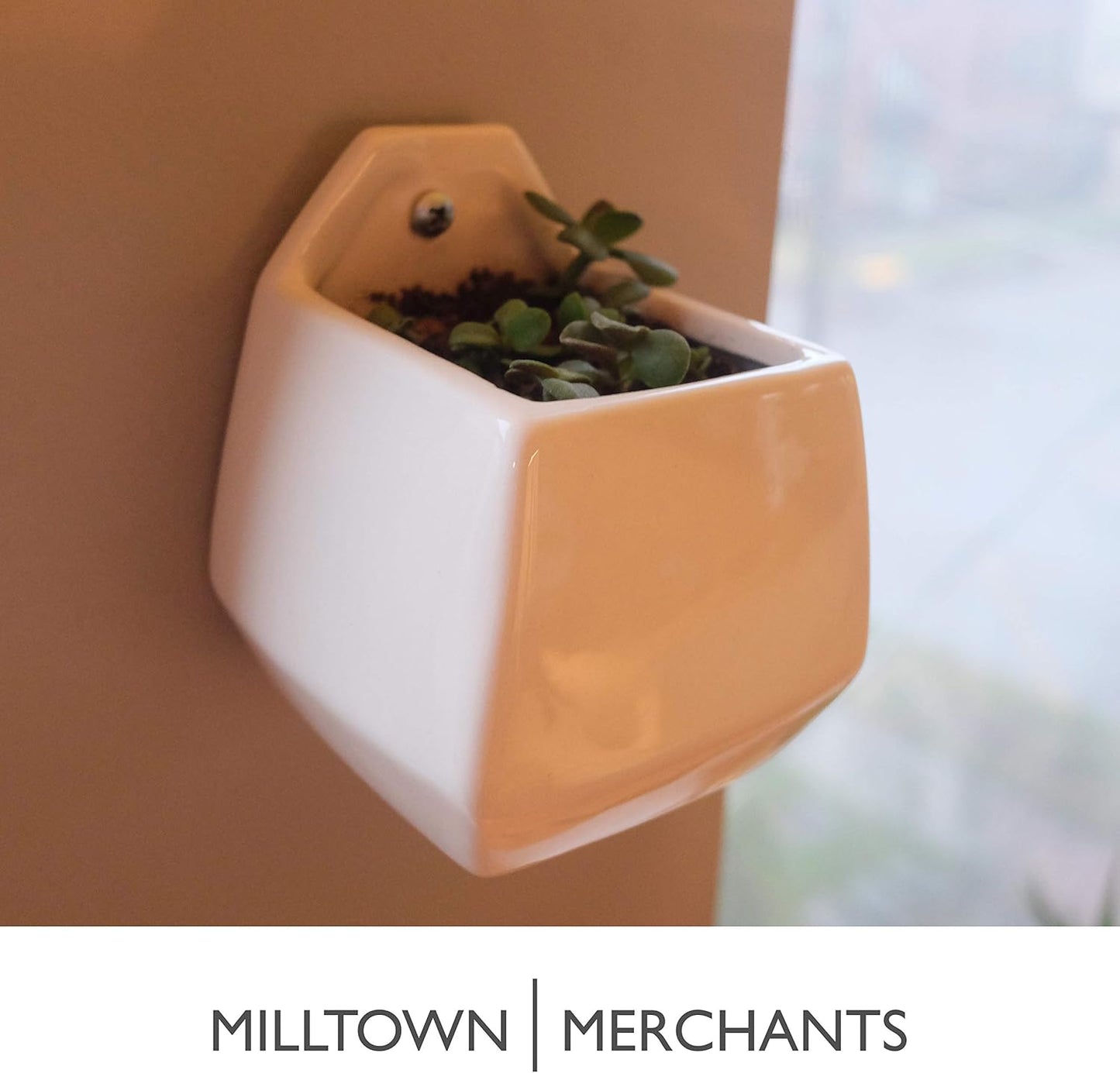 Milltown Merchants Succulent Wall Planter - Black Ceramic Planter - Succulent Plant Pot - Hanging Vase for Living Wall (1 Pack/Contemporary/White)