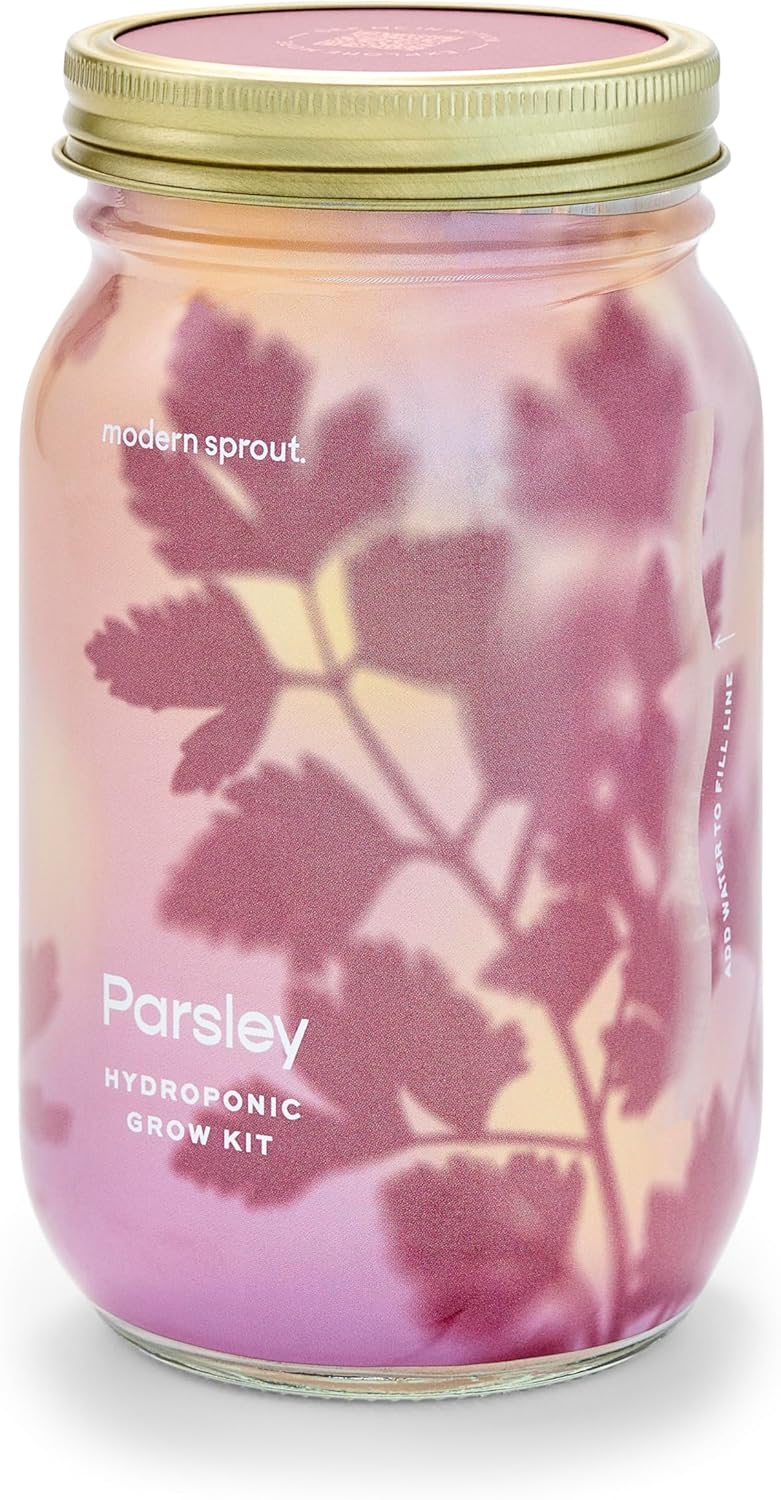 Modern Sprout Mason Garden Jar - Self-Watering Hydroponics Growing System Kit with Organic Herb Seeds - Jar Planter for Indoor Herb Garden - Seed Starter Kit - Home Decor & Gifting - Parsley