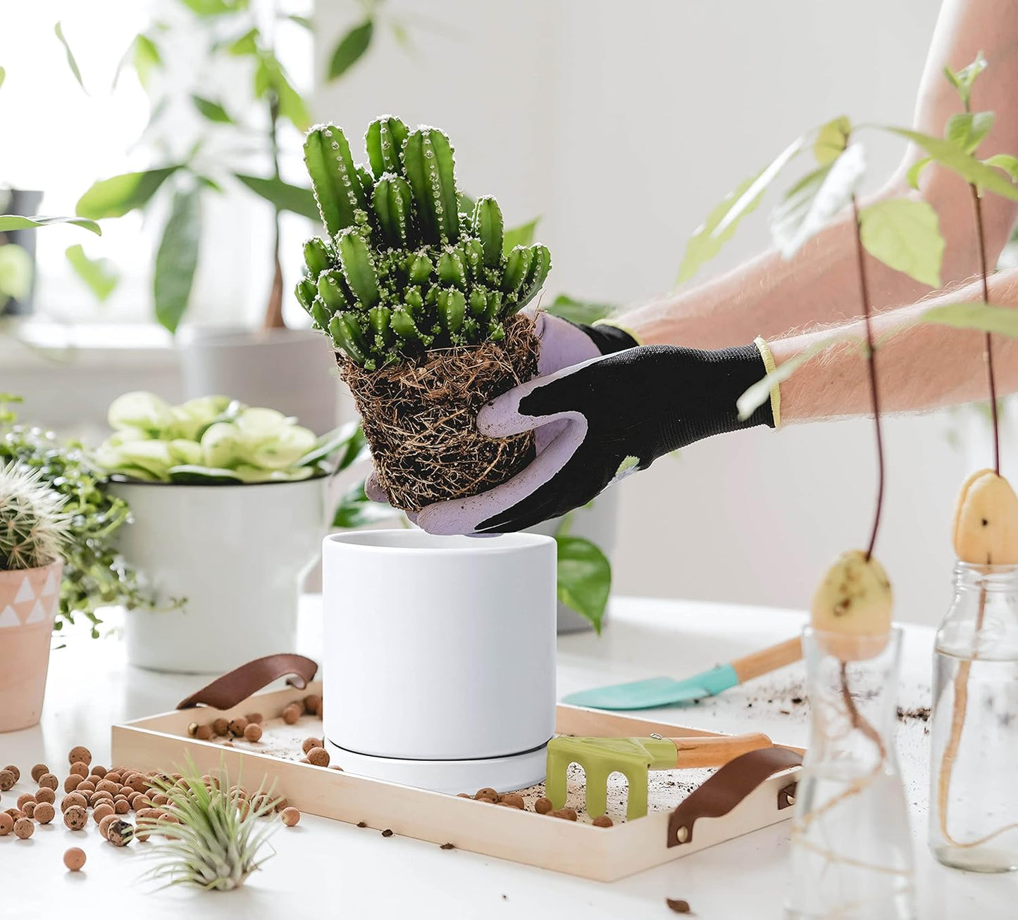 D'vine Dev 6 Inch Ceramic Planter Pot with Drainage Hole and Saucer, Indoor Cylinder Round Flower Pot, White, 94-O-C-1