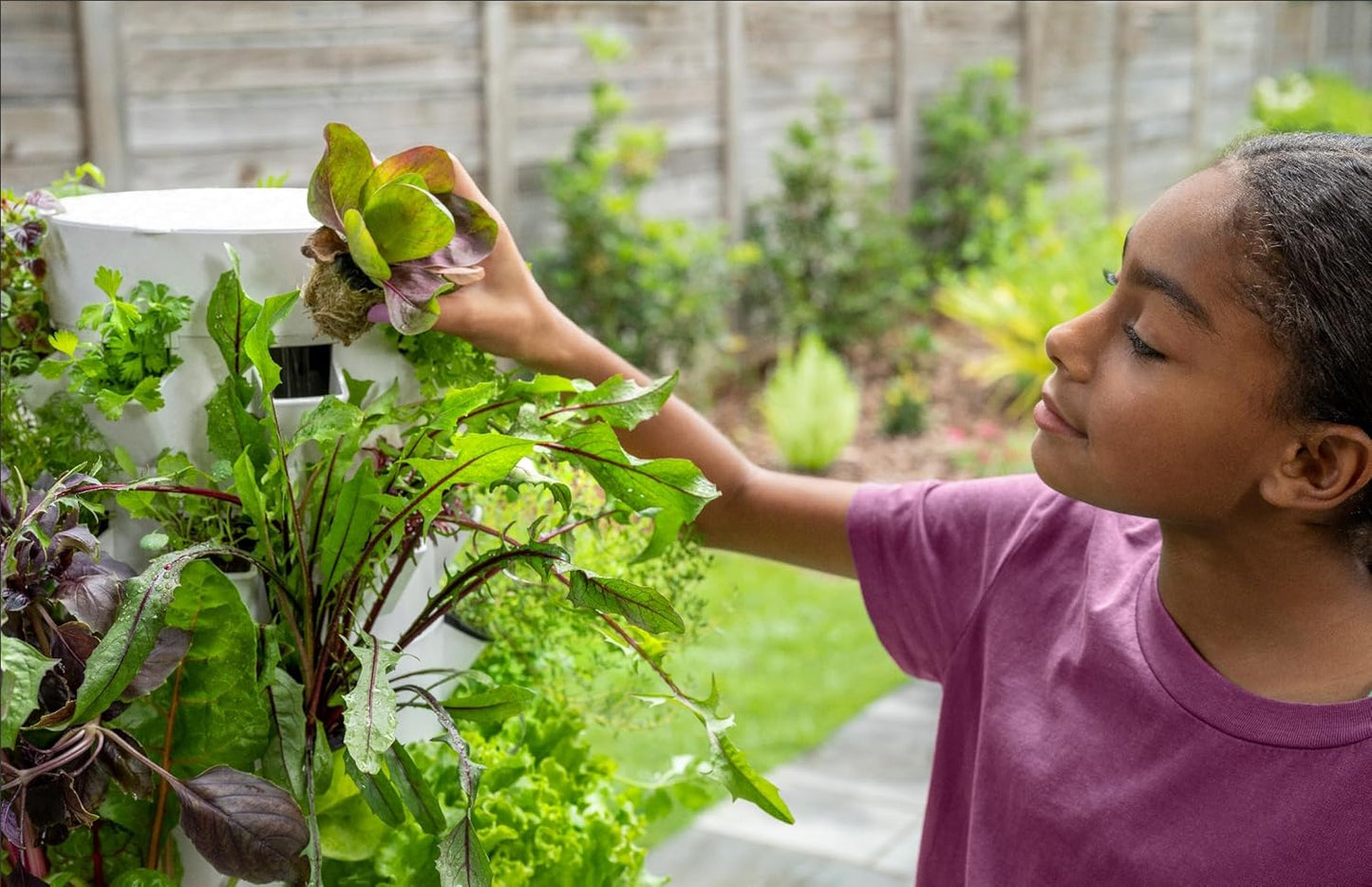 Tower Garden Seedling Starter Kit