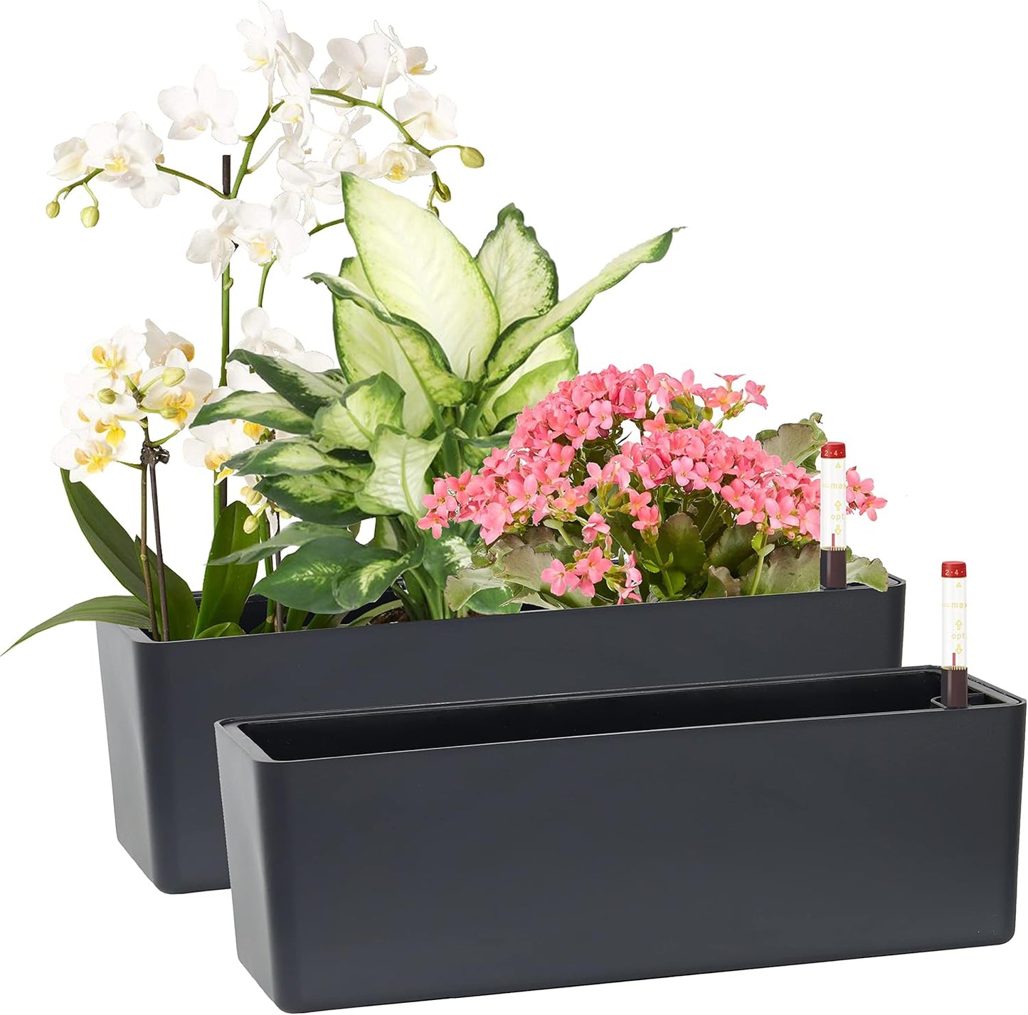 GardenBasix Elongated Self Watering Planter Pots 2-Pack Window Box 5.5 x 16 inch Indoor Home Garden Modern Decorative Pot for All House Plants Flowers Herbs (Dark Grey,2)