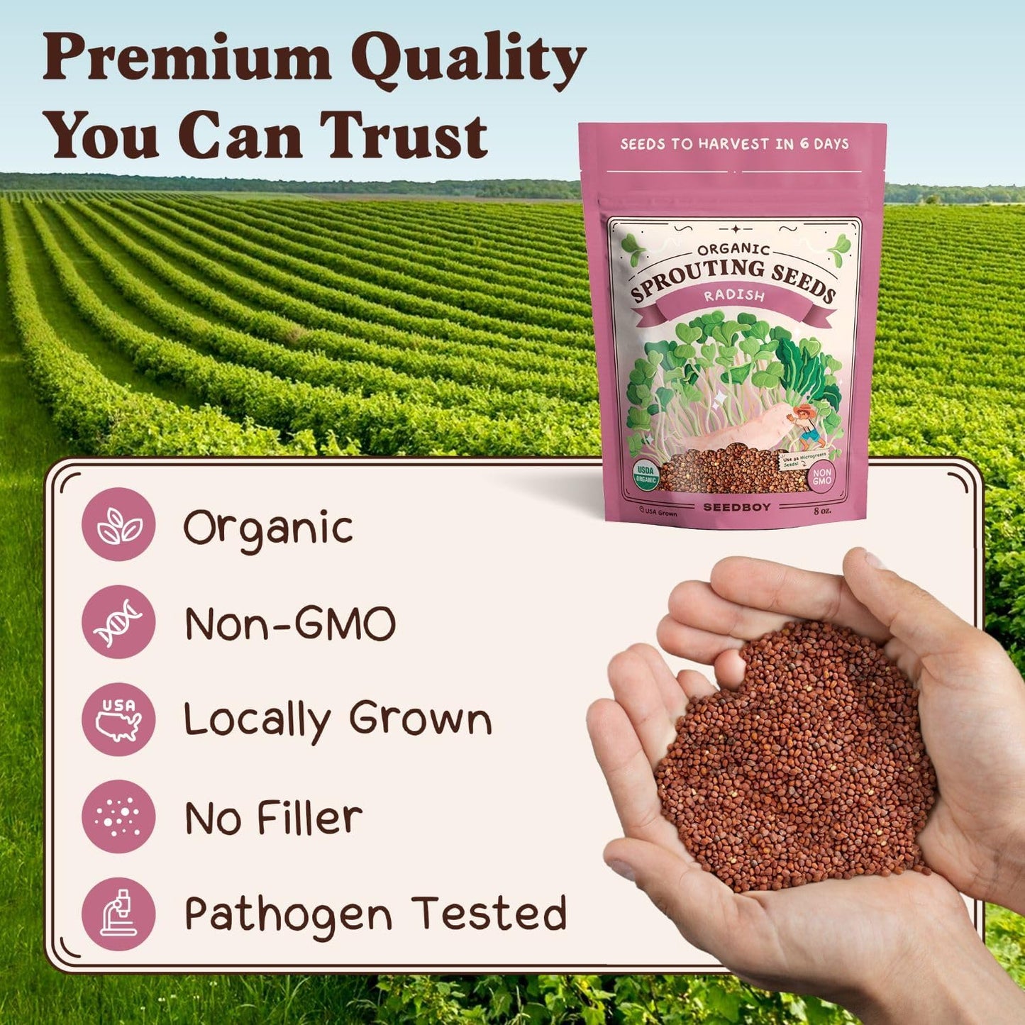 Seedboy Organic Radish Seeds for Sprouting - Non-GMO, USA Grown Microgreens Sprouting Seeds Mix - Makes 8 Quarts of Sprouts, 24 Servings (8 oz) (Daikon Radish)