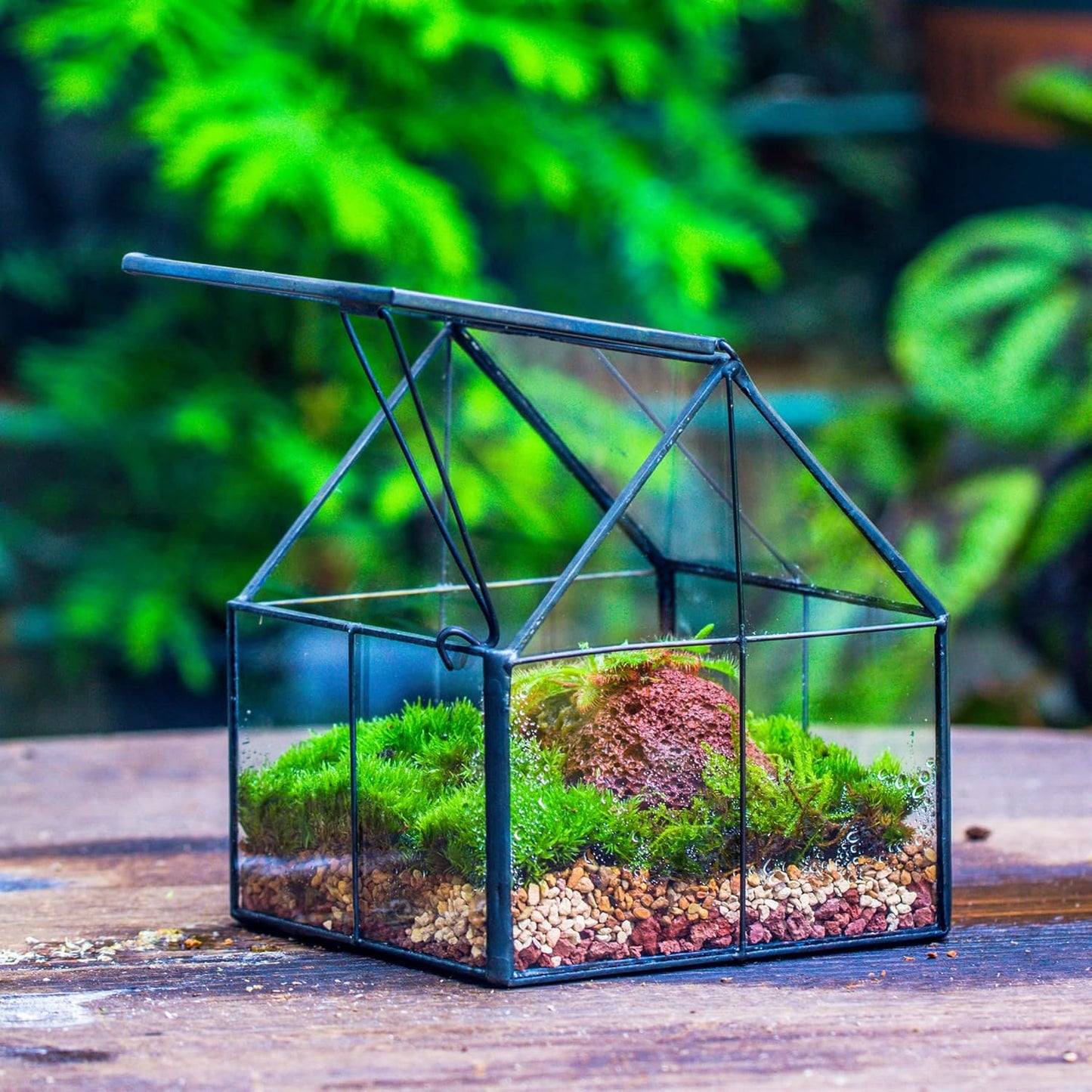 NCYP Mini Glass Geometric Terrarium with Lid - 4.25" x 4.25" x 4.92" Small House Shape Close Planter Pot for Succulents Plant - Handmade, Home Garden Office Tabletop Decor, Black (Terrarium Only)