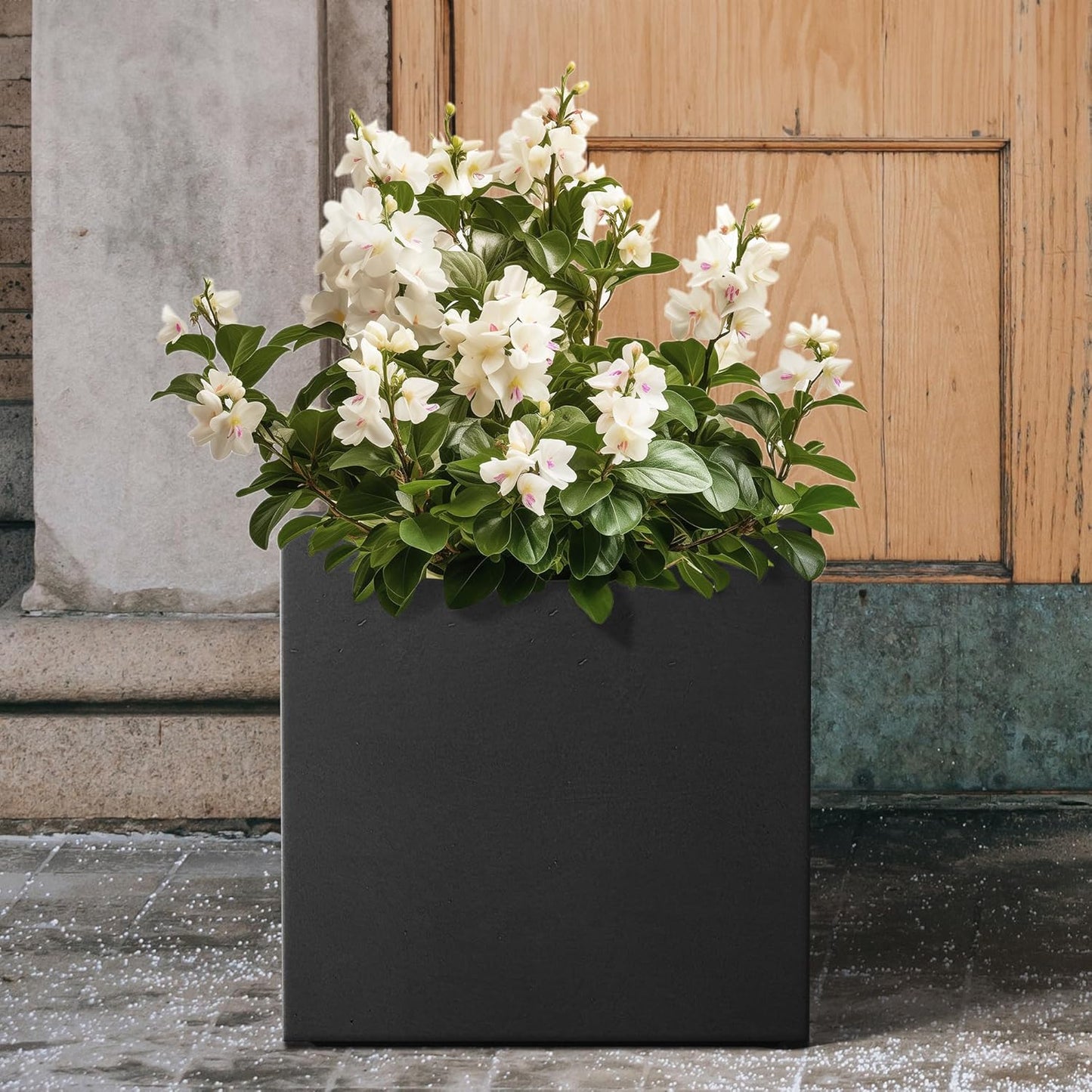 Kante 12 Inch Square Concrete Planter for Outdoor Indoor Home Patio Garden, Large Plant Pot with Drainage Hole and Rubber Plug, Black