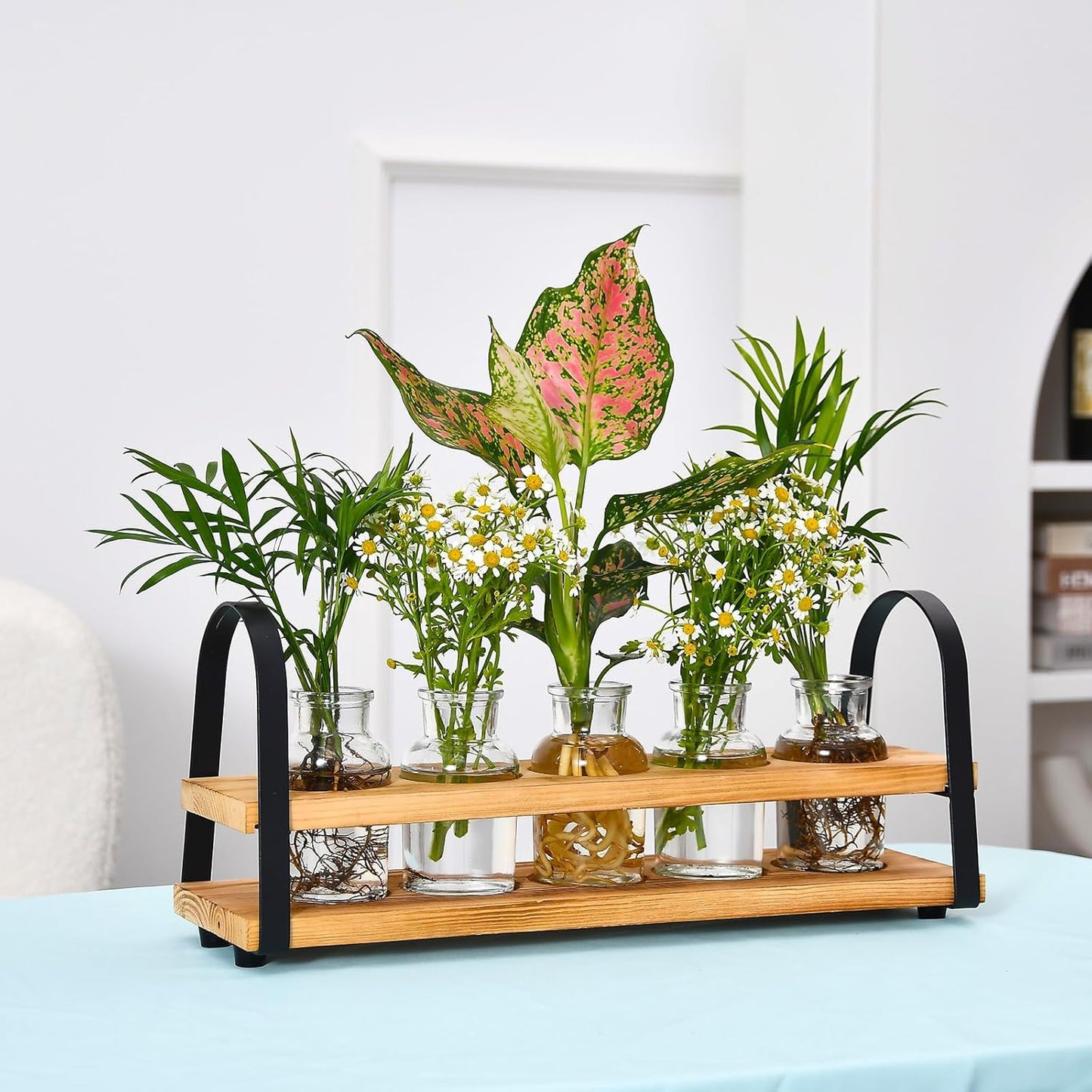 Plant Propagation Stations with Wood Stand, Desktop Plant Terrarium for Propagating Hydroponic, Flower Vase for Home Kitchen Office Decor, Plant Lover Gifts