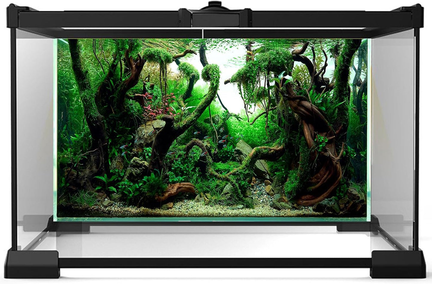 Aquarium Background Underwater Pebble Grass Leaves Aquarium Backdrop Vivid Fresh Green Aquatic Plant Stone River Bed Aquarium Backdrop Deadwood Purple Leaves Tank Background Vinyl 36x18in