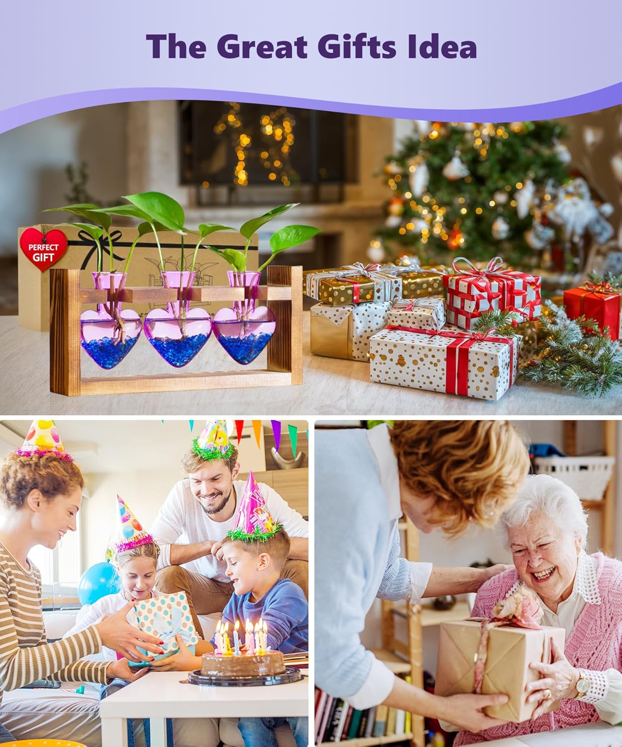 Nacome Plant Terrarium for Office Decor: Birthday Gifts for Plant Lovers Women Mom Wife - Wooden Stand Tabletop Planter 3 Bulb Glass Vase Heart Shaped for Hydroponics Indoor Home(Purple)