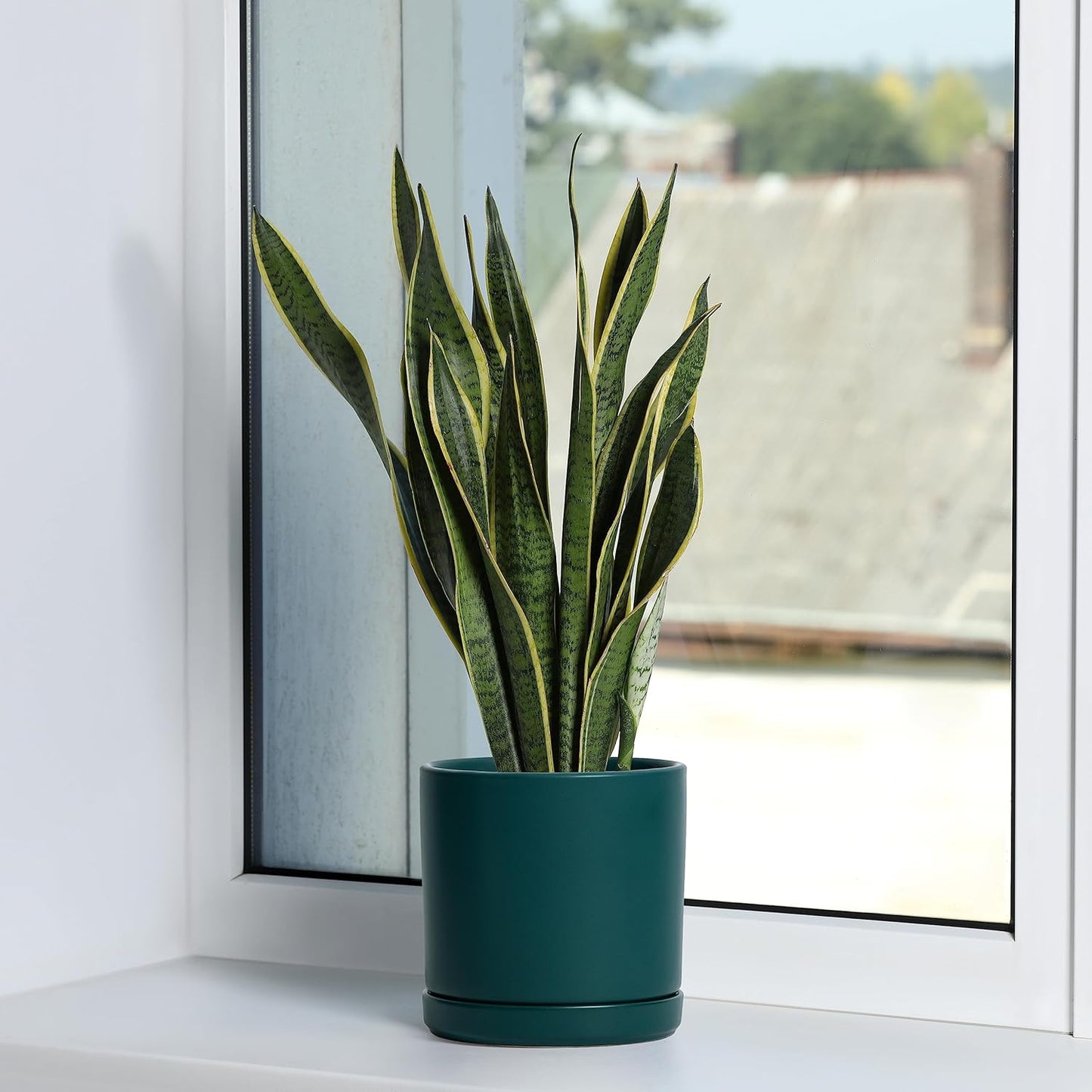 D'vine Dev 6 Inch Ceramic Planter Pot with Drainage Hole and Saucer, Indoor Cylinder Round Planter Pot, Teal, 94-O-C-9