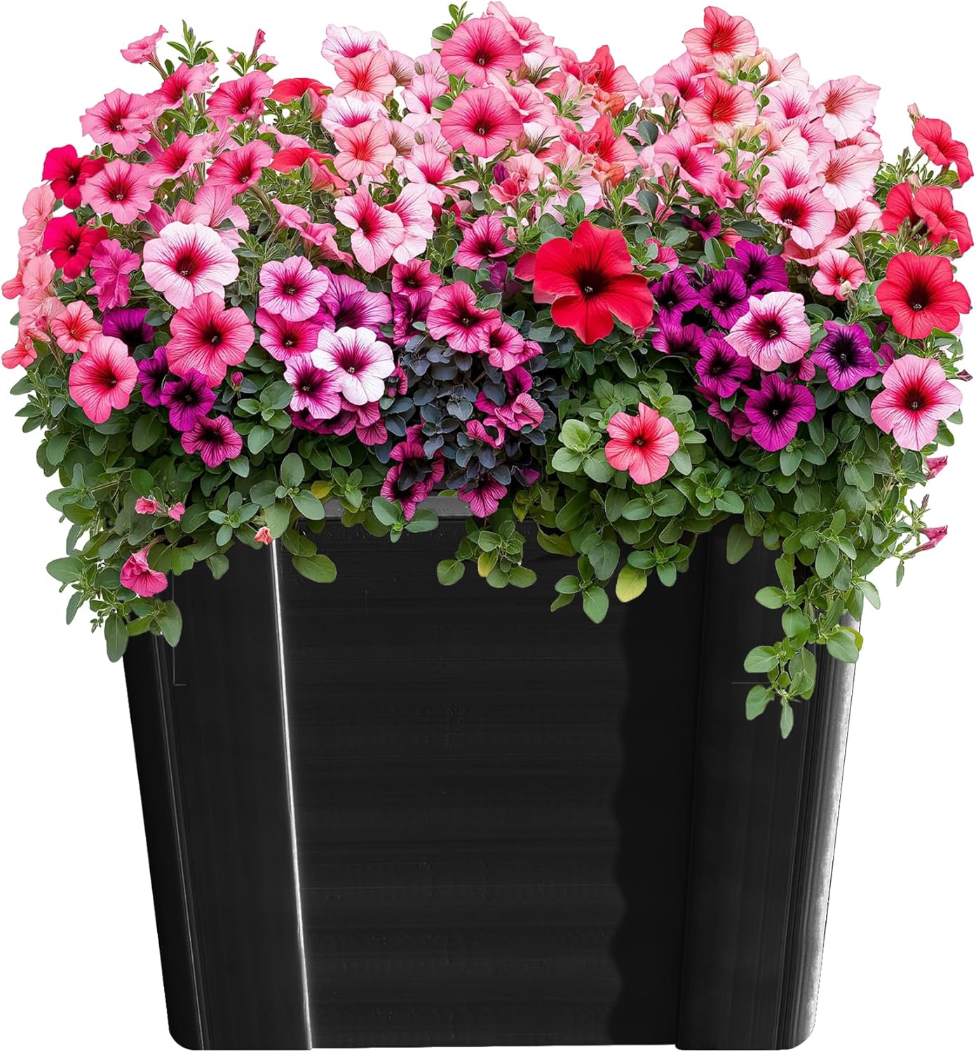 Raised Garden Bed - 1x1 ft Planter Box - Black HDPE - No Tools Needed - DIY Kit for Urban Gardening, Flowers, Herbs & Vegetables - Made in The USA - 2 Pack