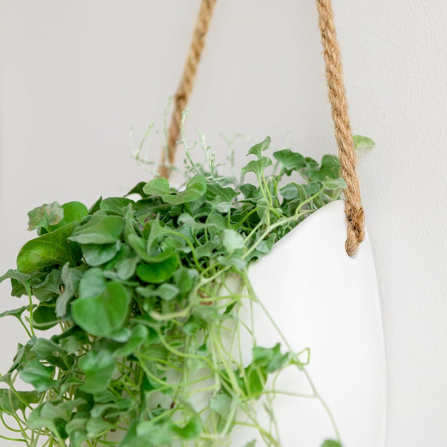 Kazai. Wall Planters -Ellie- | Hanging Ceramic Plant Pots 2 Pieces | Wall Decoration for Indoors, Balcony and Garden | White (Matte)