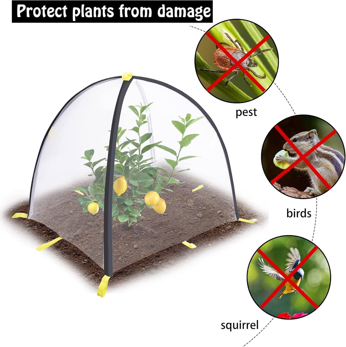 2 PCS Insect Barrier Plant Tent Cover-22 x 22 x 23 Inch Bug Guard Cover with Stakes-Insect Bird Barrier Netting Mesh for Protect Vegetable Plants Fruits Flowers from Birds Animal Eating