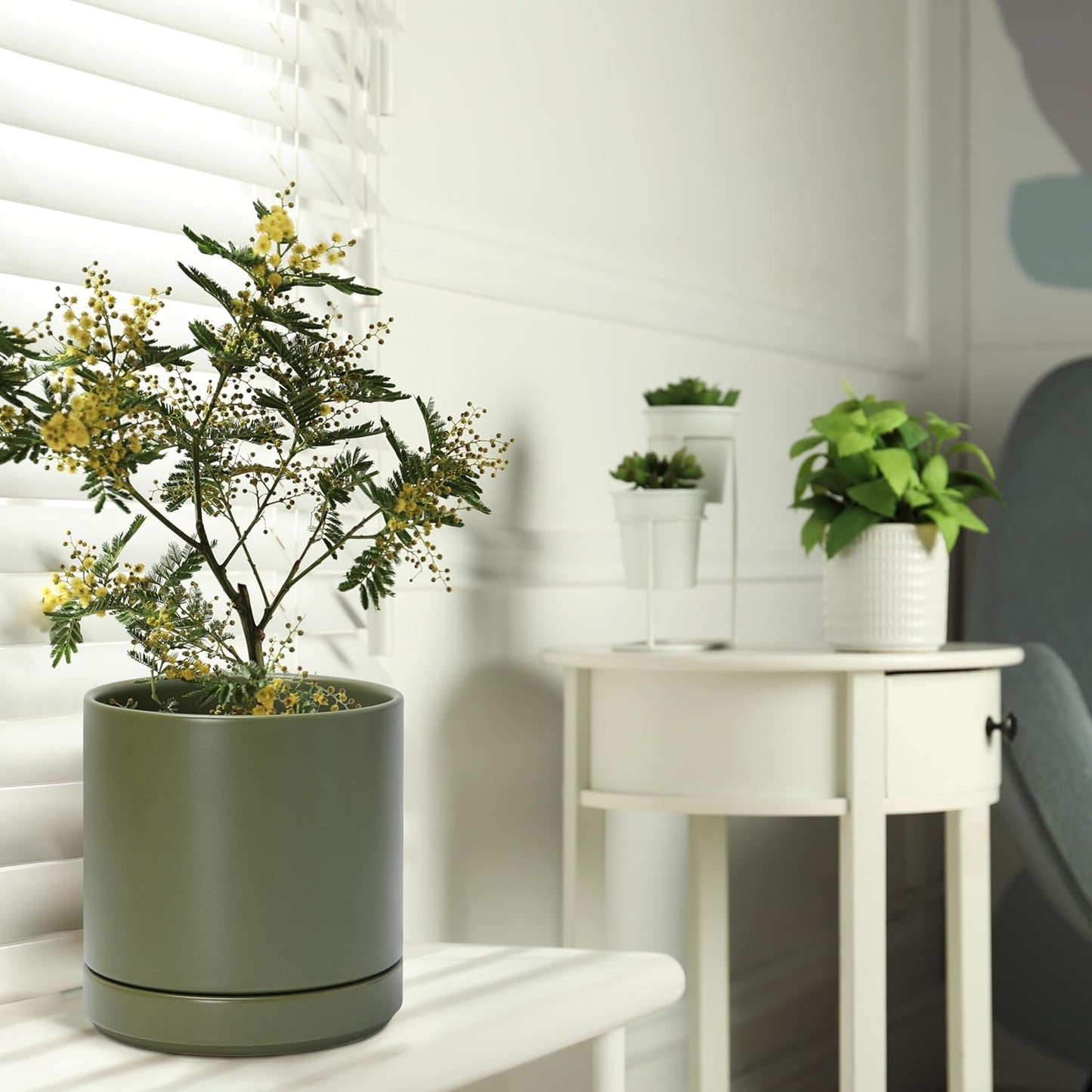 D'vine Dev 6 Inch Ceramic Planter Pot with Drainage Hole and Saucer, Indoor Cylinder Round Planter Pot, Olive, 94-O-C-J