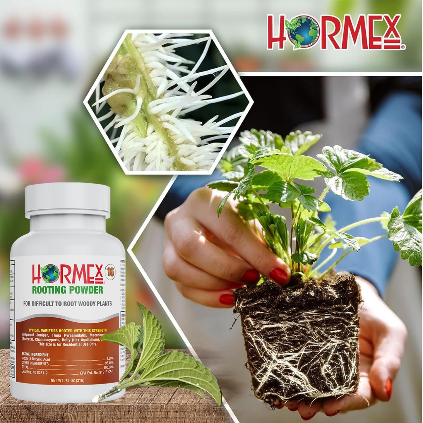 Hormex Rooting Powder #16 & Rooting Cubes Combo - Rooting Hormone for Hardwood Cuttings & Organic Peat Moss Coco Plugs - Fast, Healthy Root Growth for Propagation, Hydroponics, & Seed Starting